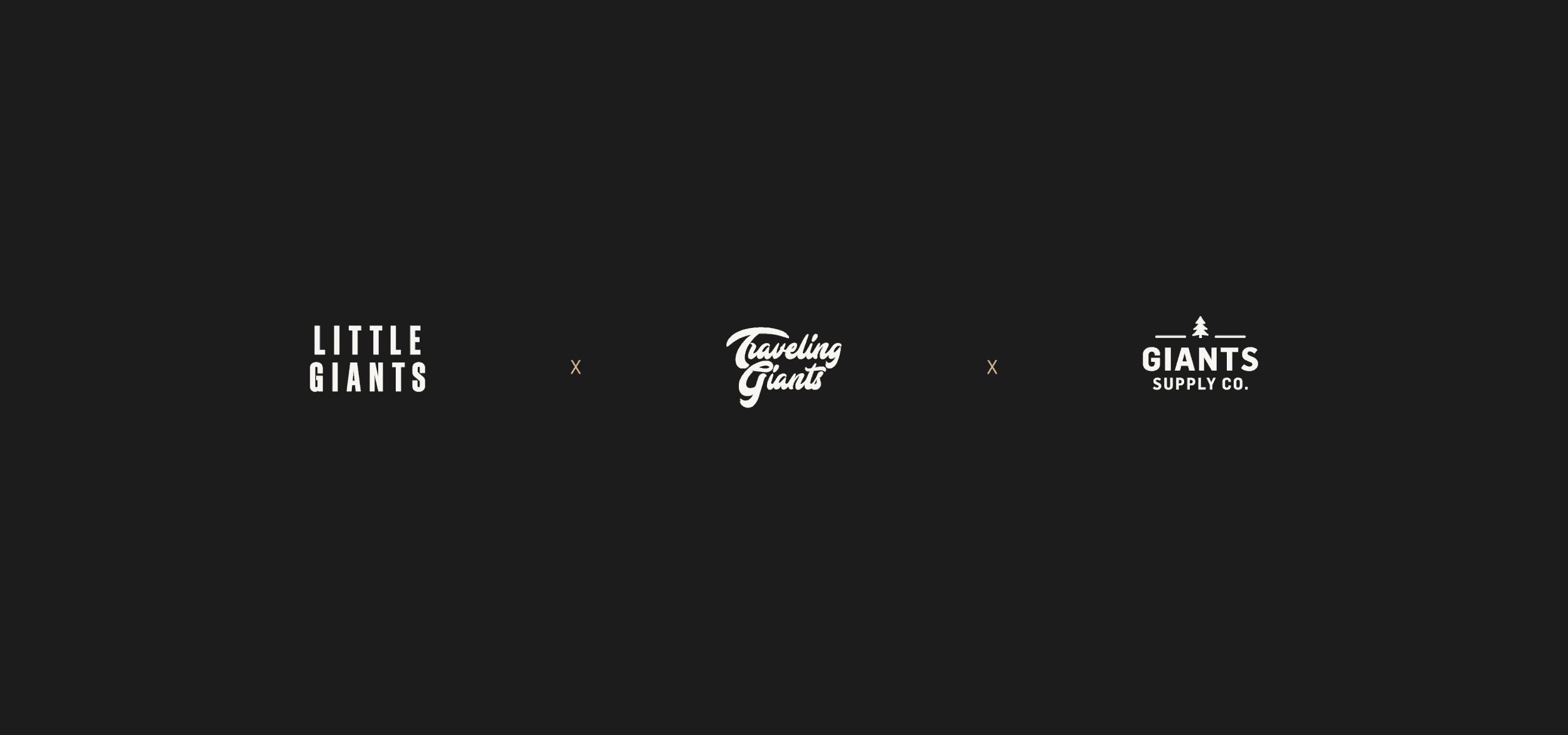Website_banner_logoTrio.gif