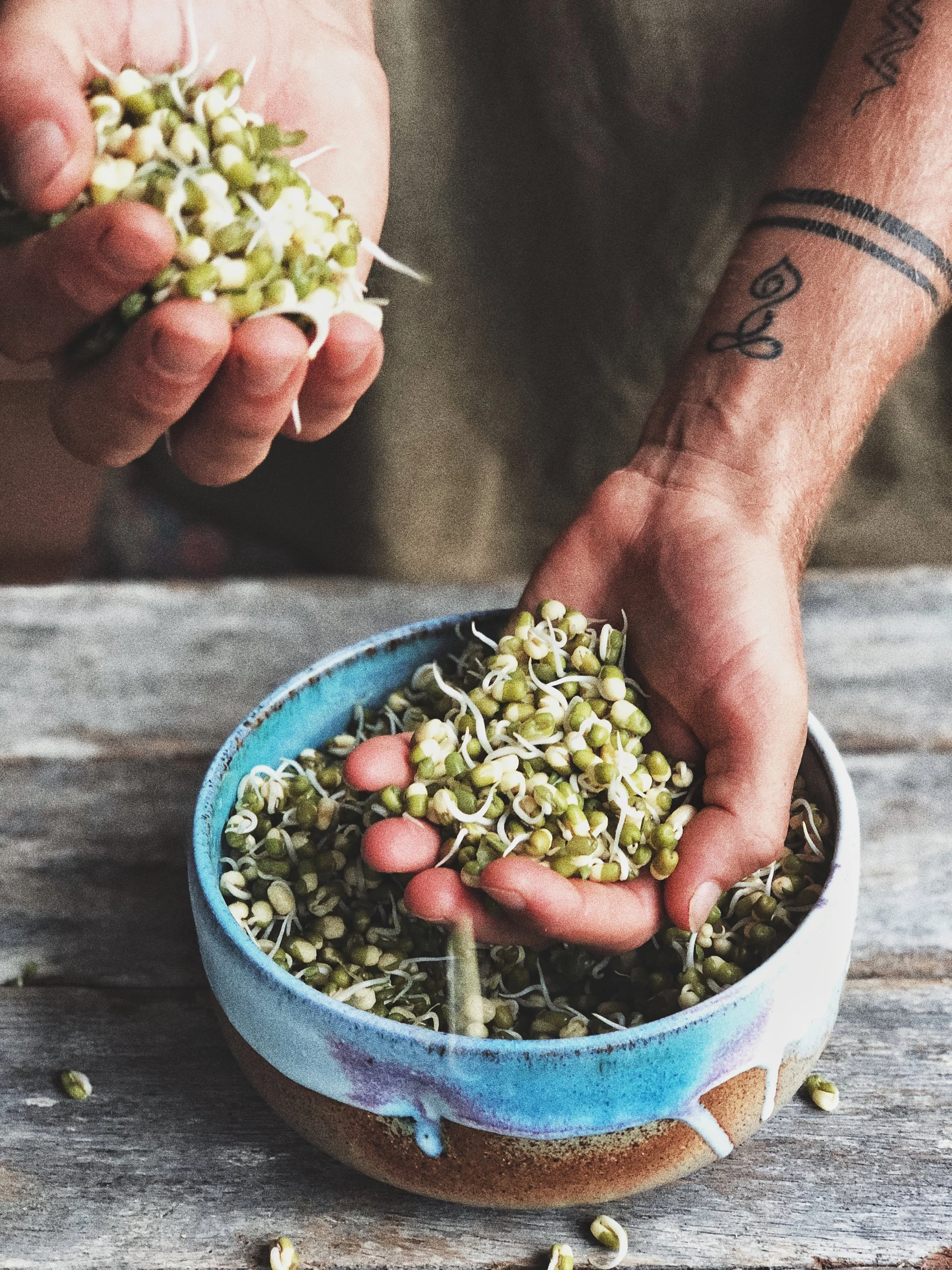 sprouts with tails at day 4.