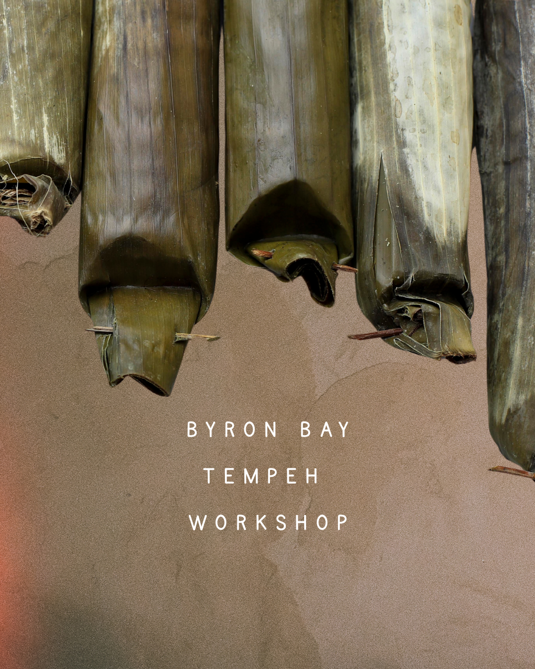 TEMPEH MAKING WORKSHOP (1).png