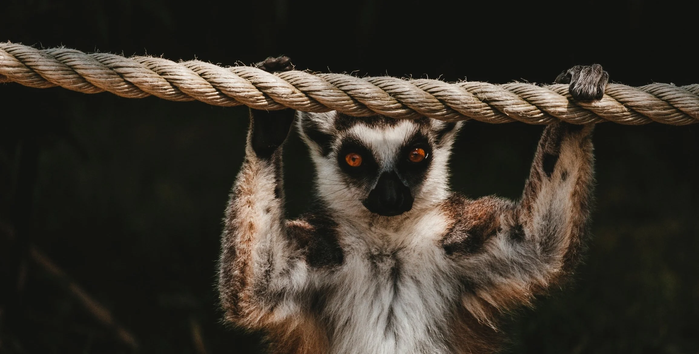 sonny-ravesteijn-693740-unsplash.jpg