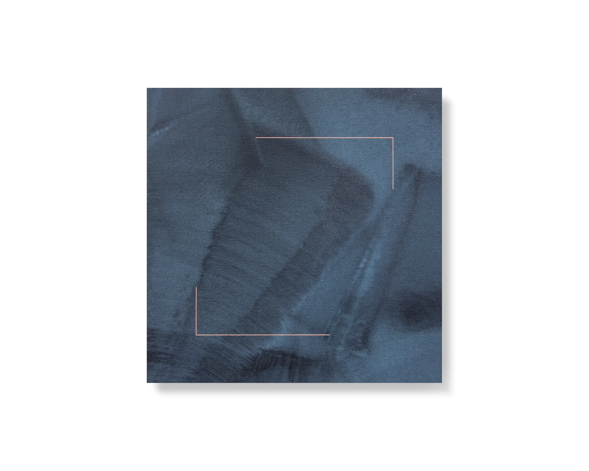 Field-Study-3.jpg