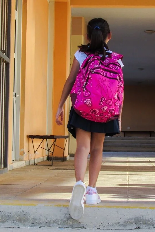 Part 2 - Learning in a crisis: returning to school after COVID-19 