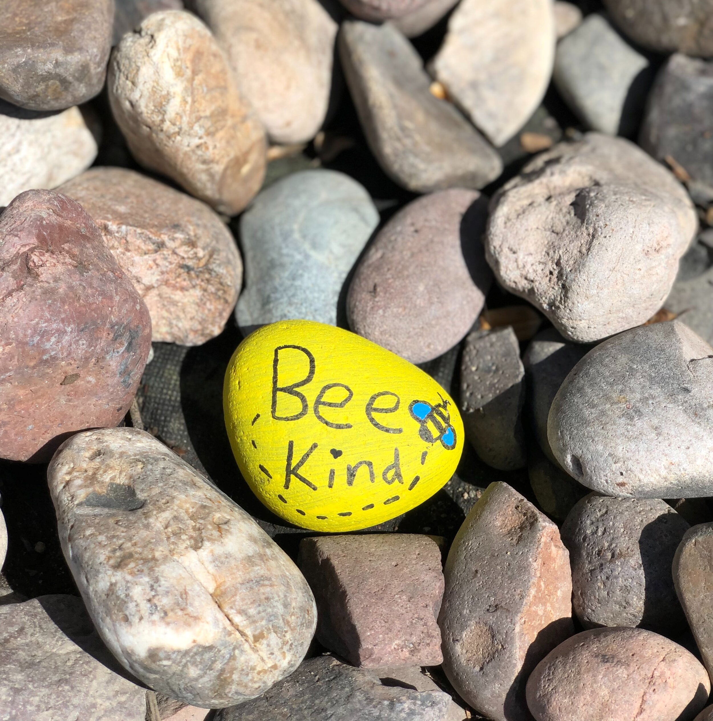 World Kindness Day - 13th November, 2020