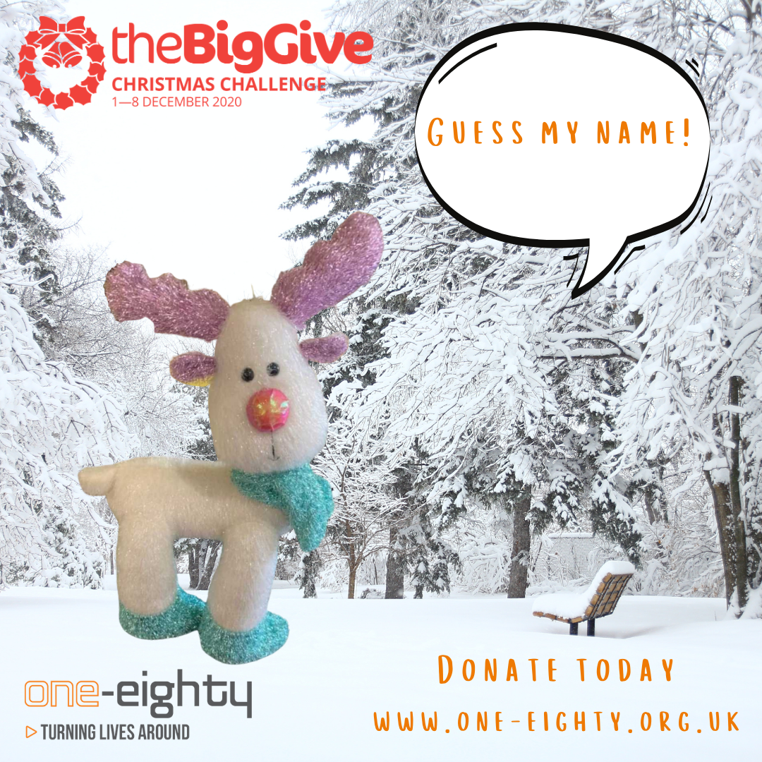 Name the Reindeer for the Big Give Christmas Challenge 2020
