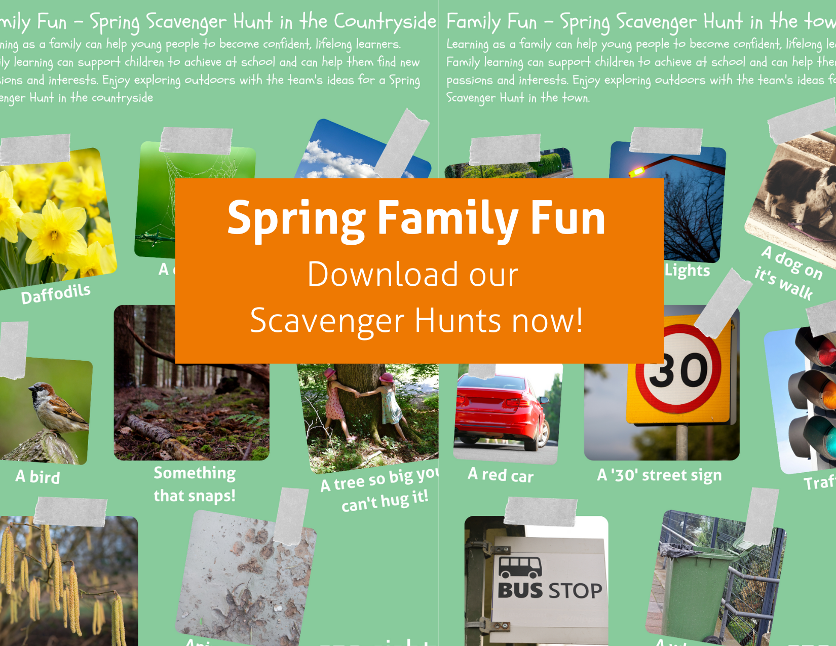 Spring Family Fun