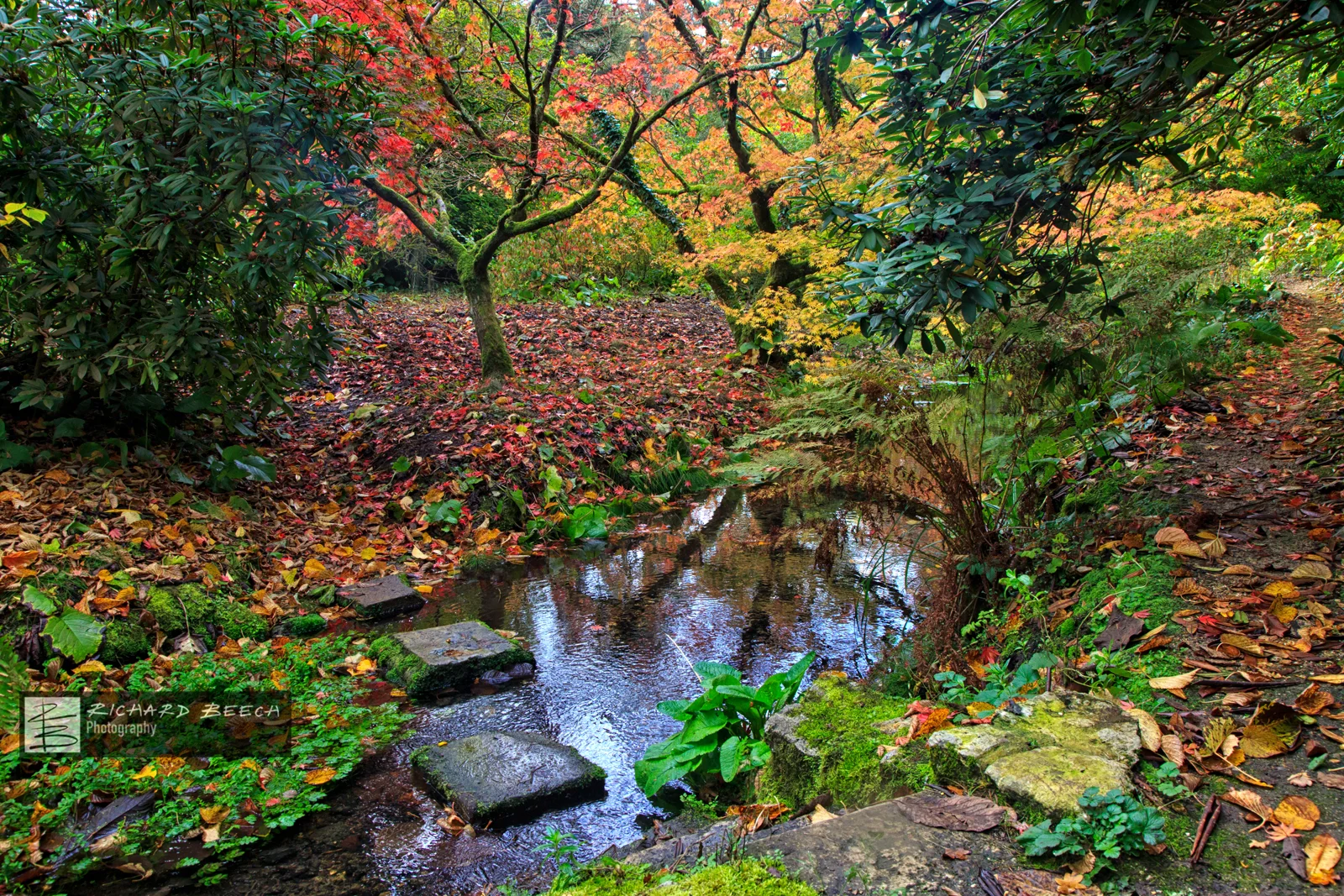 Minterne Magna Stepping Stones