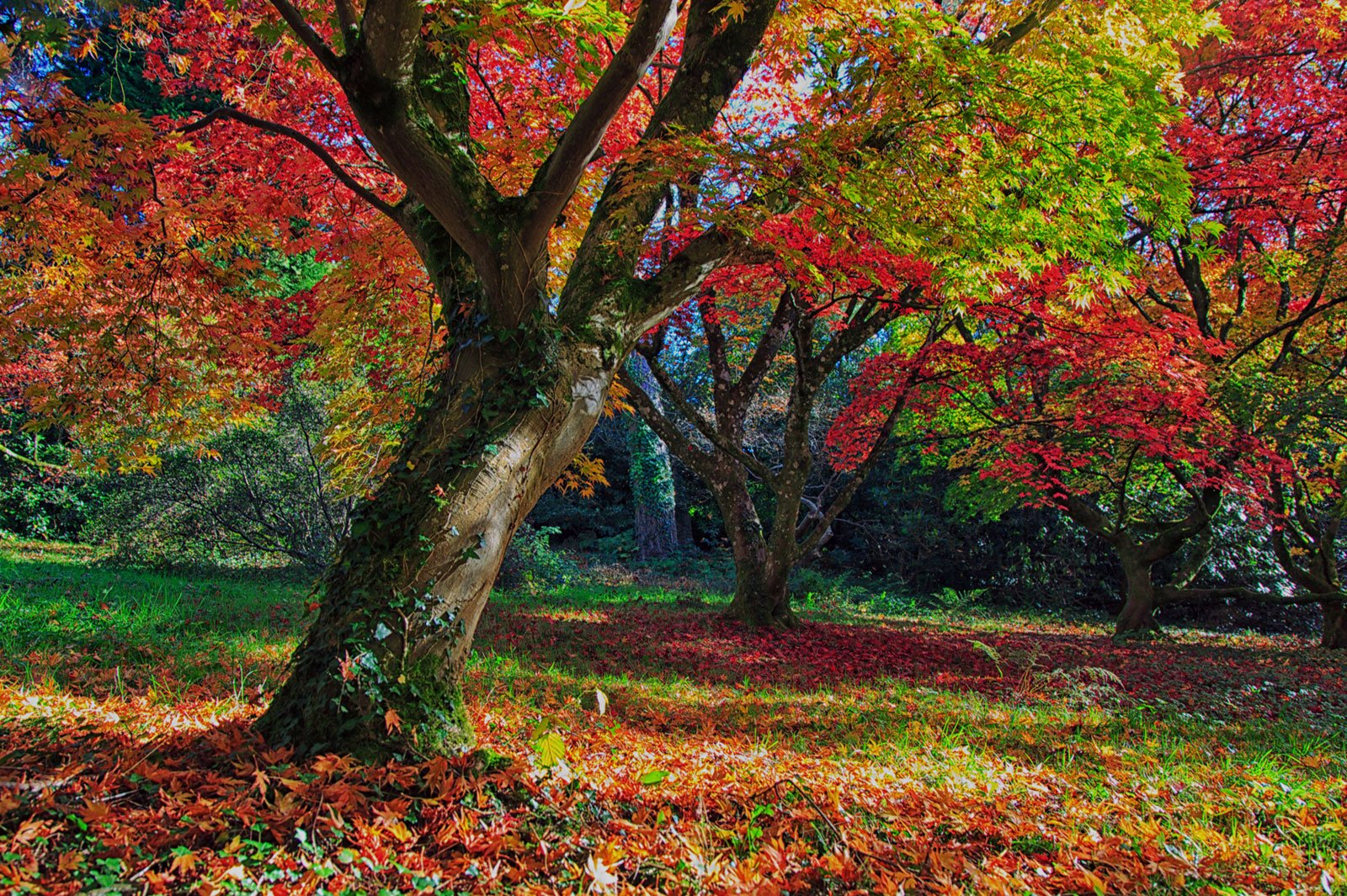 Christmas Sales Events - Autumn / Winter 2023