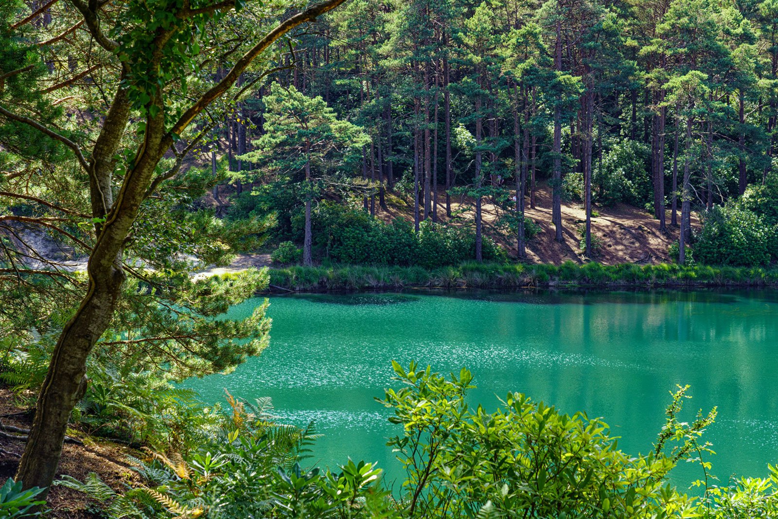 Blue Pool View