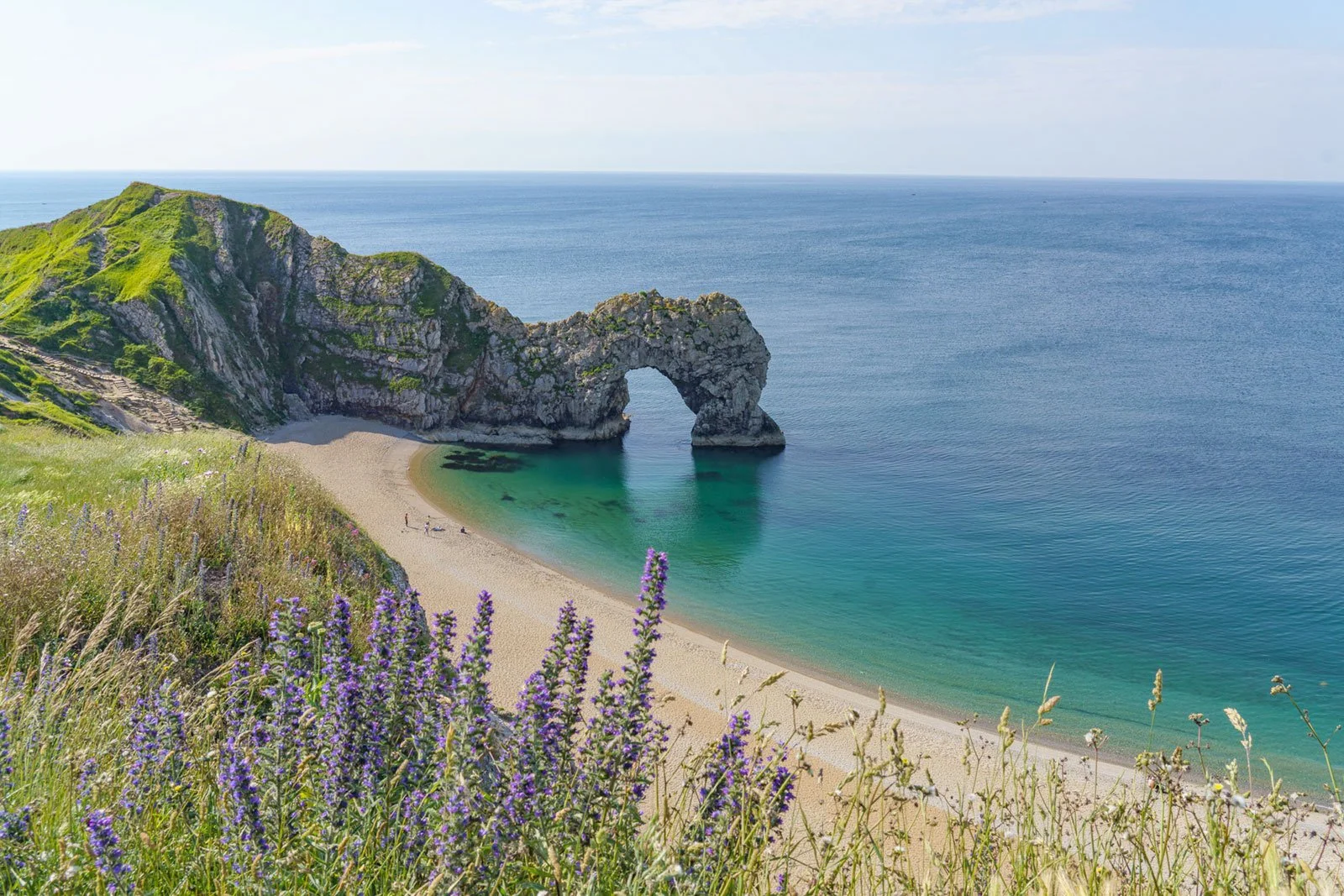 'Wildflowers at Durdle Door' - RBP Landscapes Collection - Print