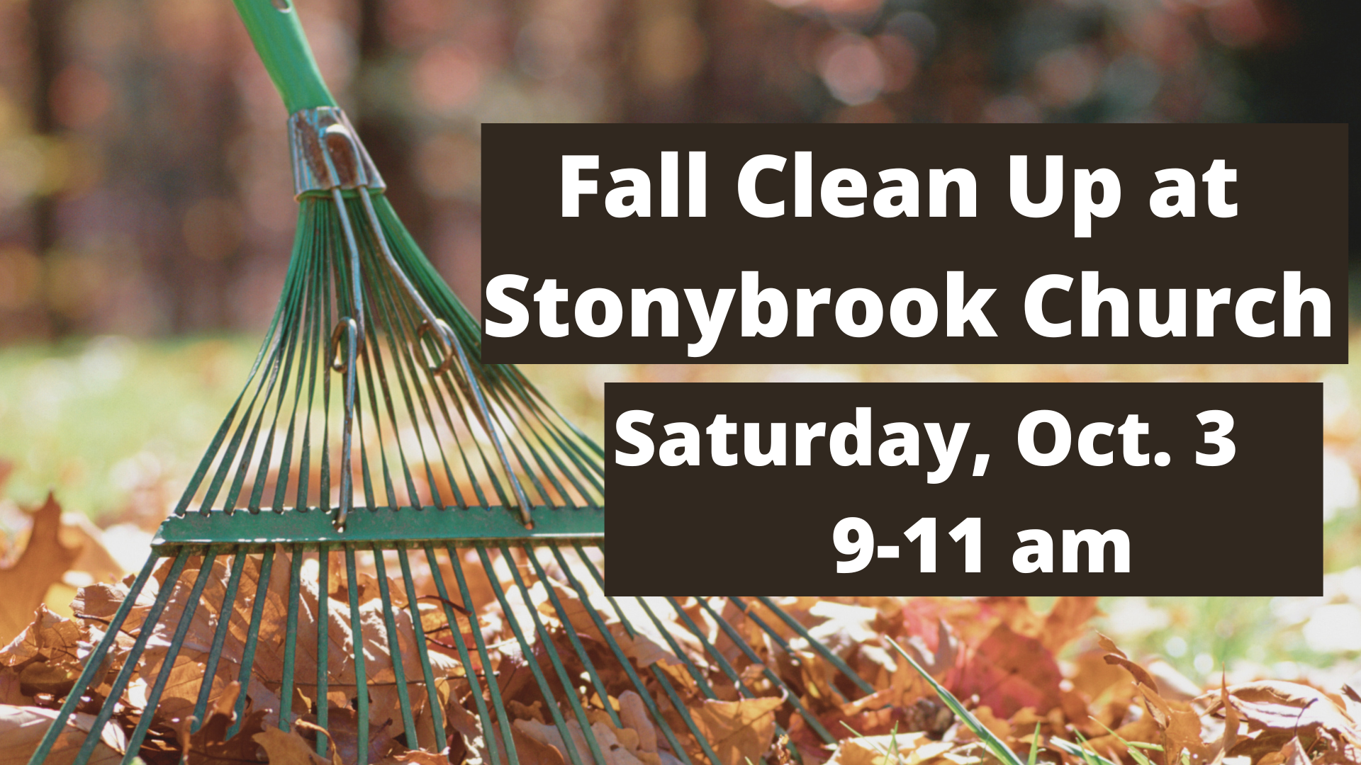 Fall Clean Up