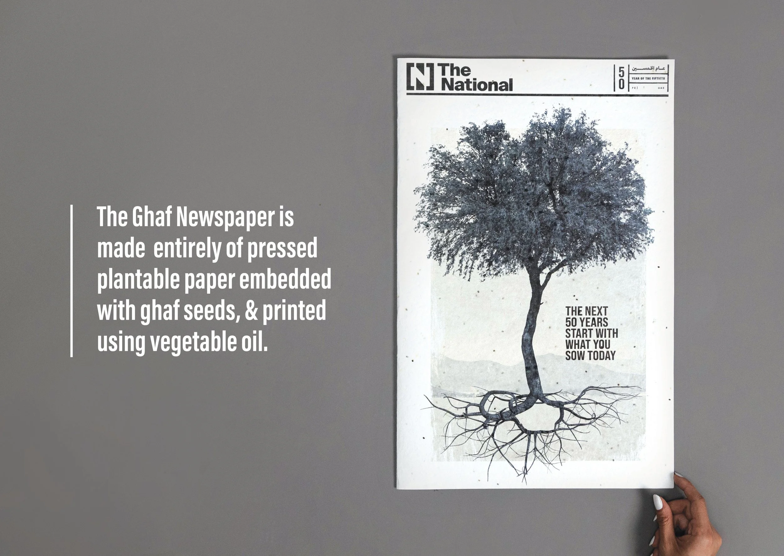 The_National _Plantable_News _SupportingBoard1.jpg