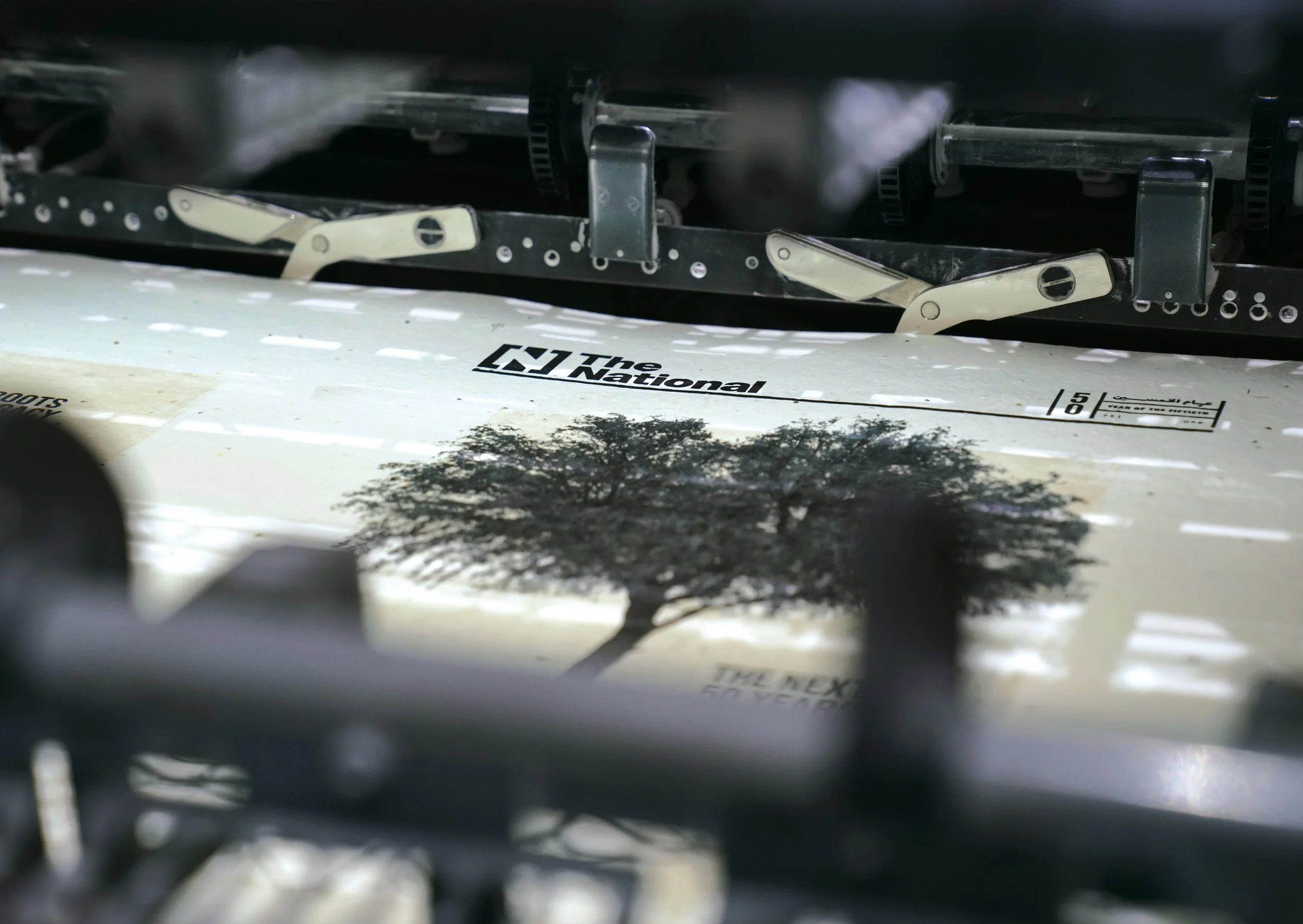 The_National _Plantable_News _SupportingBoard2.jpg