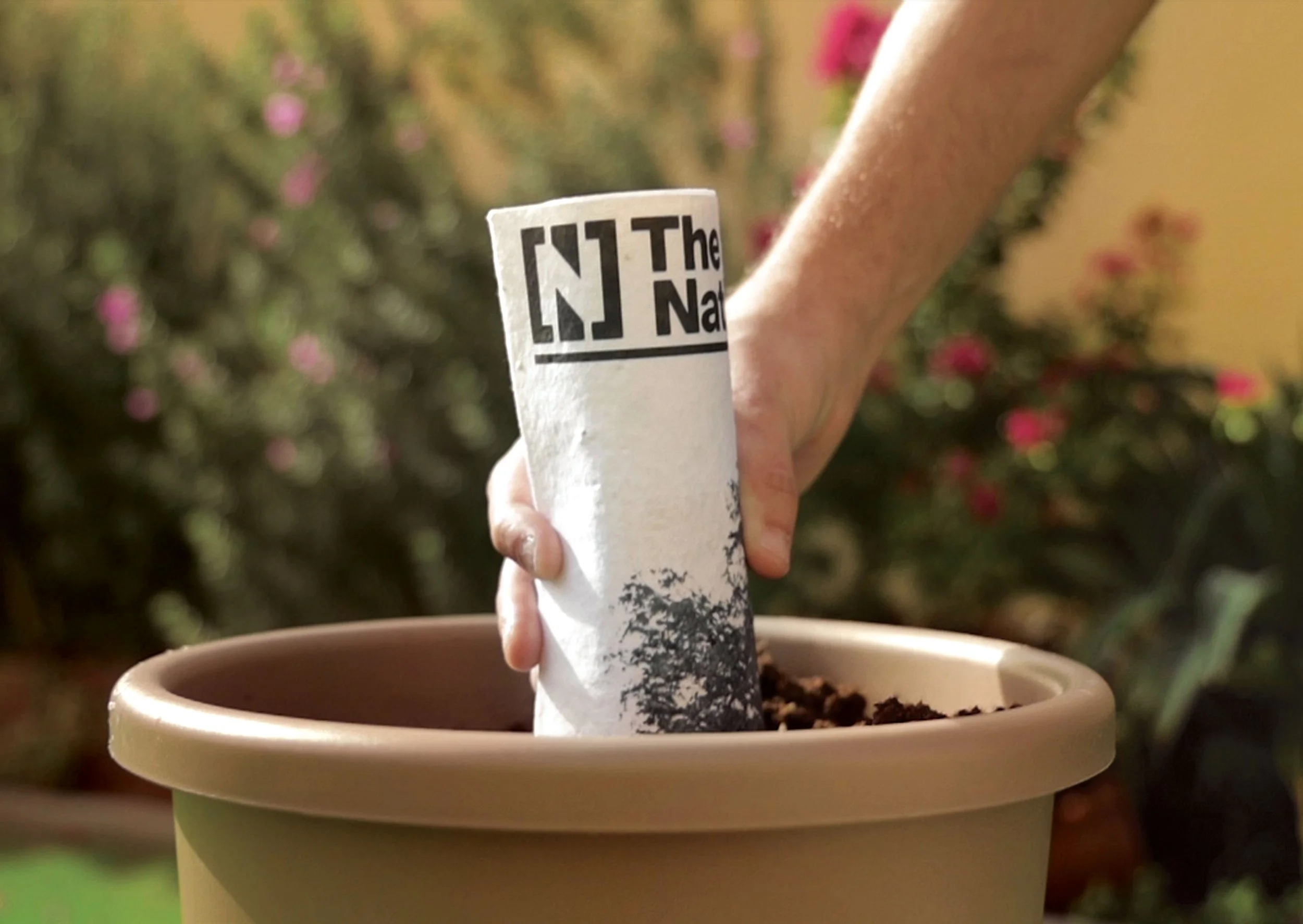 The_National _Plantable_News _SupportingBoard3.jpg