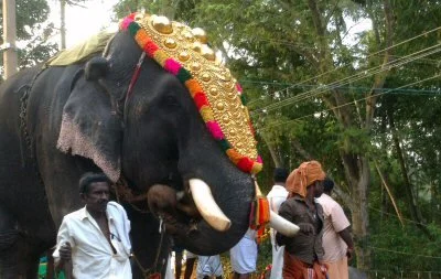 Palm Tree 400 - elephant procession.jpg