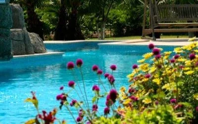 G Lodge Pool close up  400_0.jpg