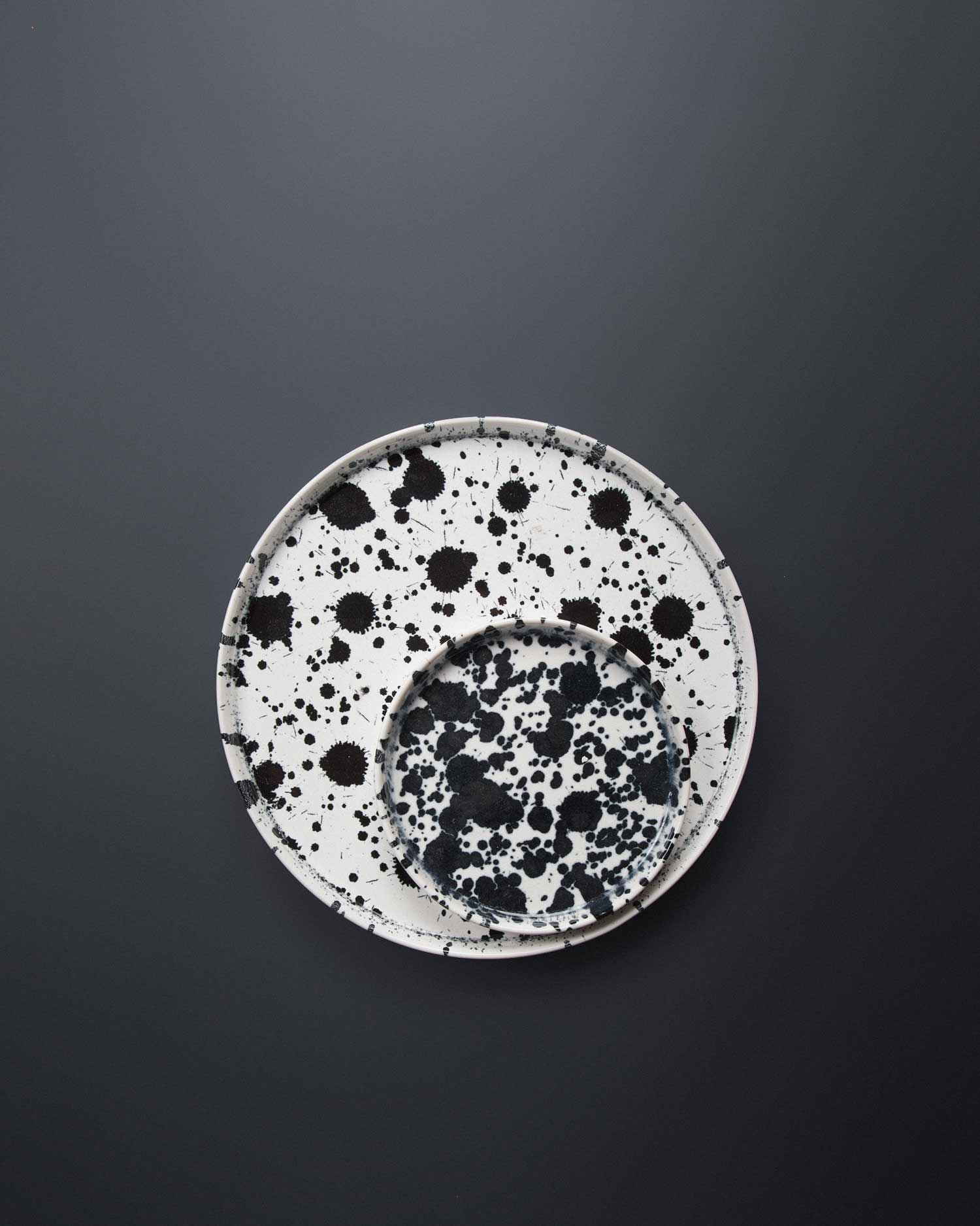 dalmatian-plates-4.jpg