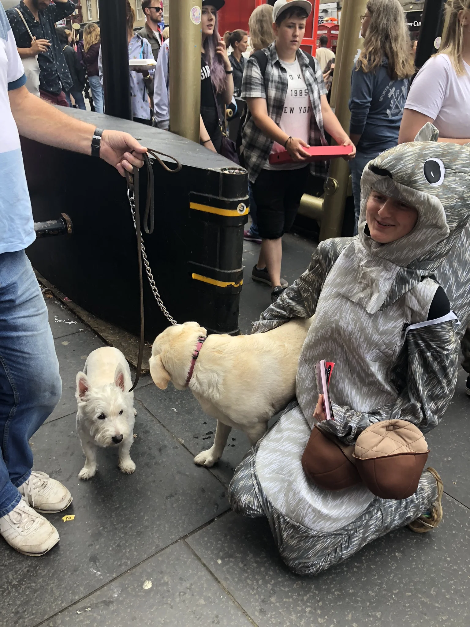 Dogs and Squirrels: A love story