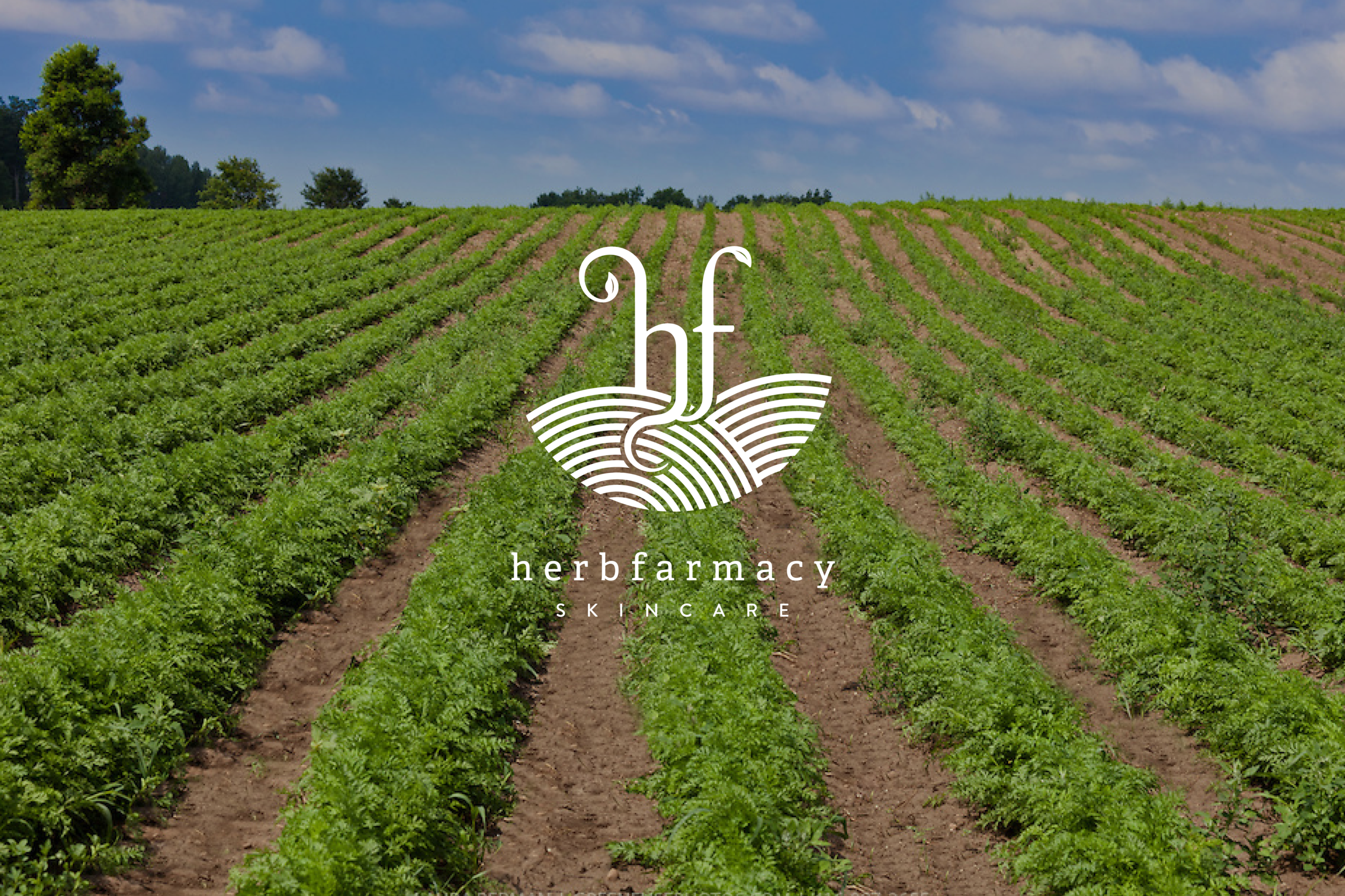  Branding for an organic skincare company that celebrates the hills where the ingredients are grown    