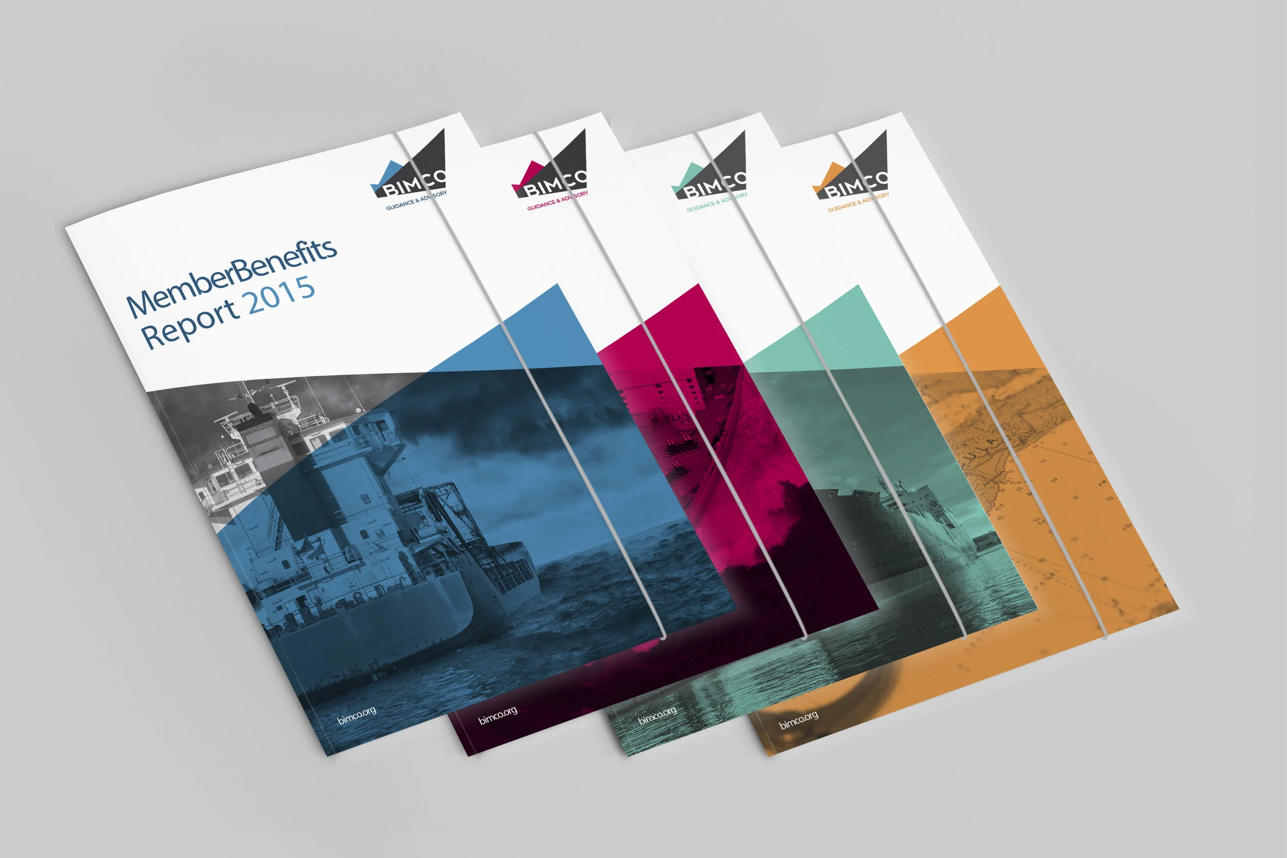 BIMCO Brochure Visuals.jpg