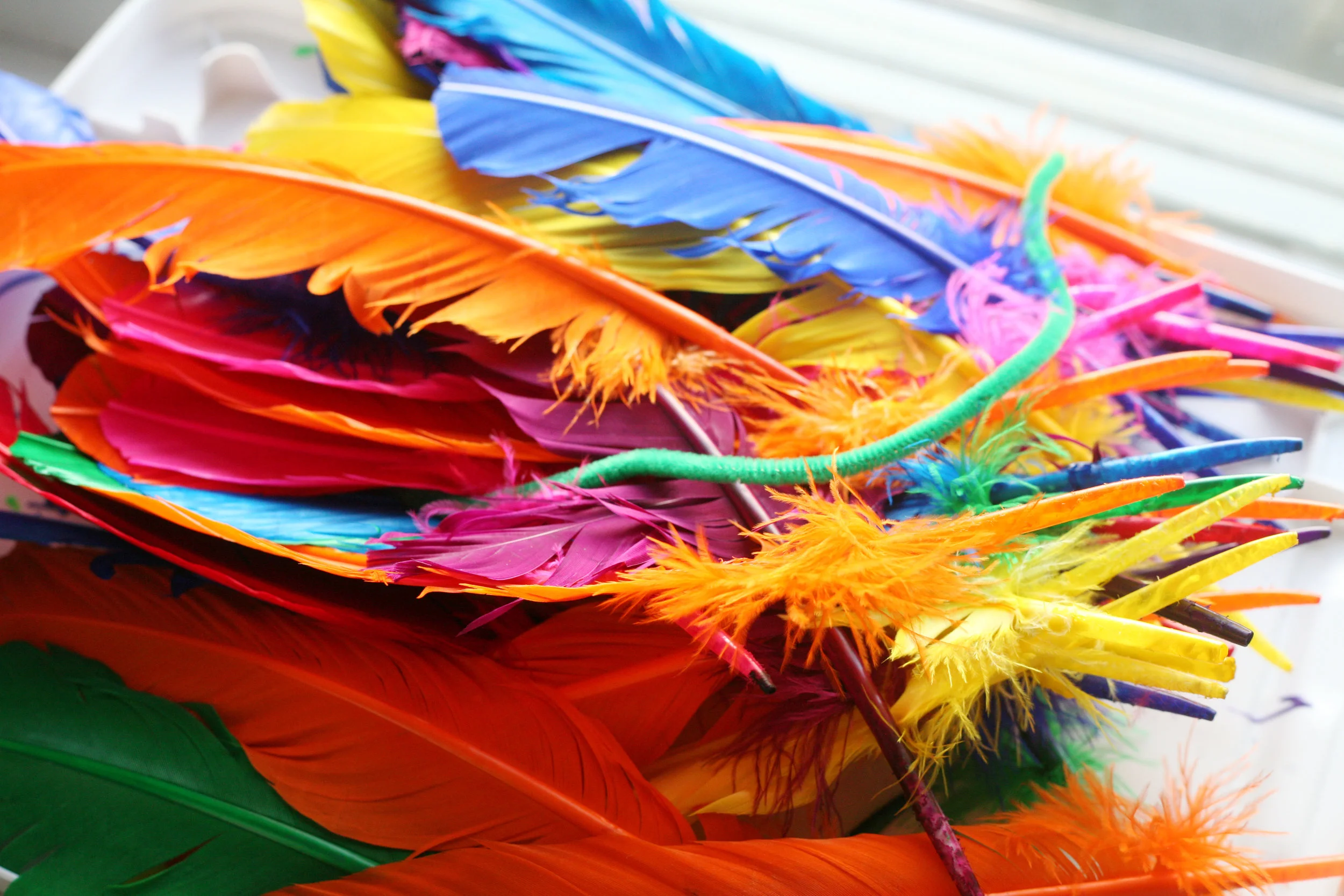 Header_15.jpg