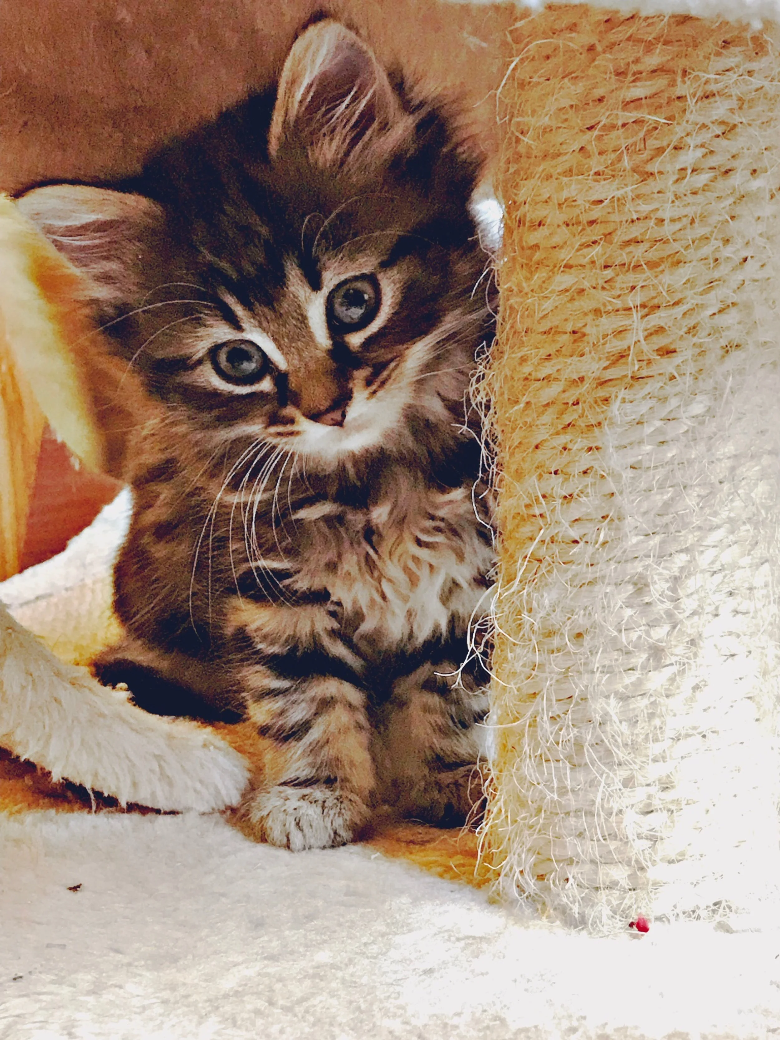 The 15th & 16th; I want to be on my own.