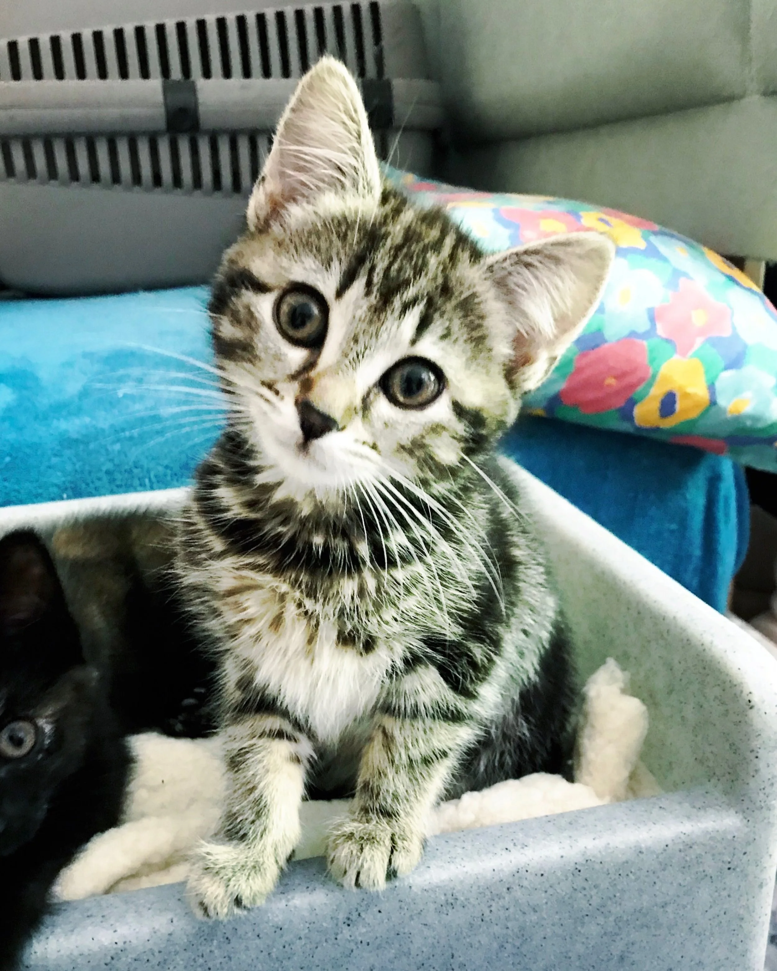 The 4th & 5th; Pretty garbage.