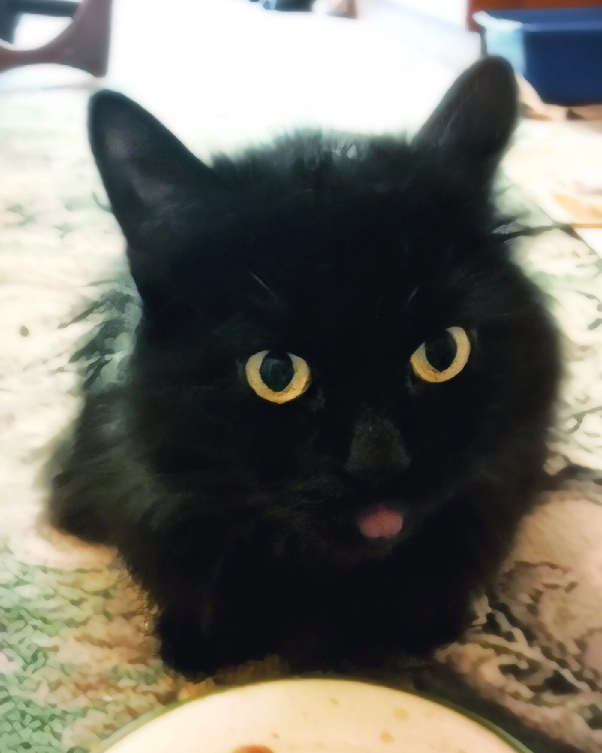 The 20th & 21st; I can fix this.