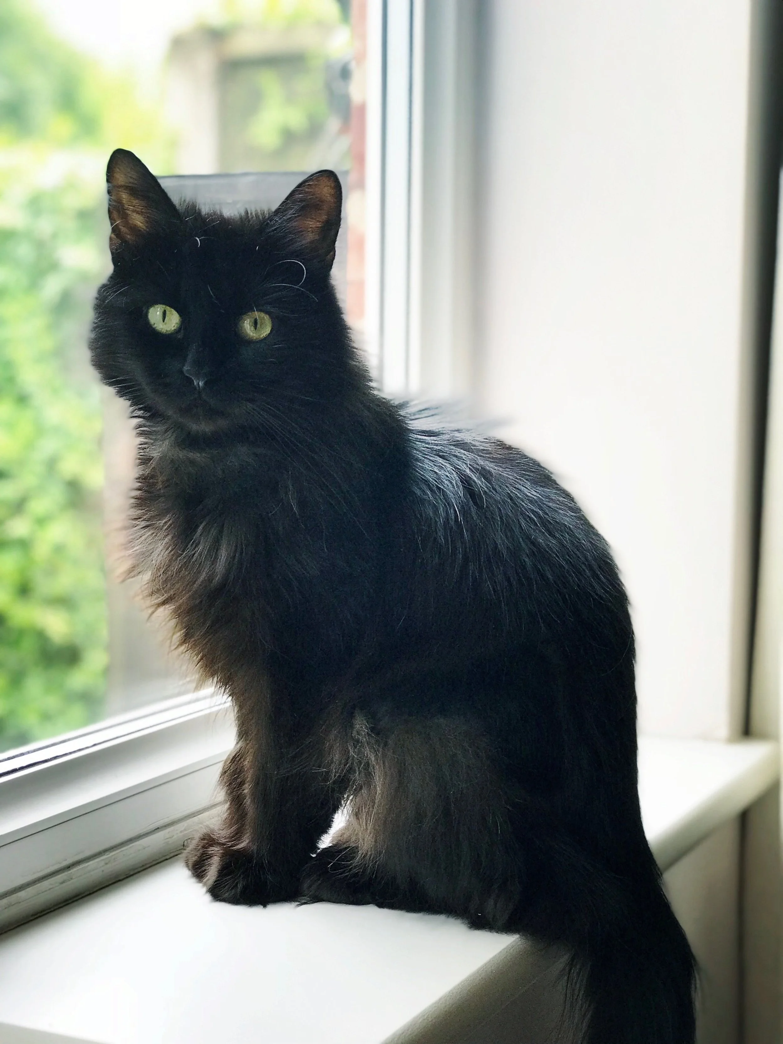 The 22nd & 23rd; It will teach you something.