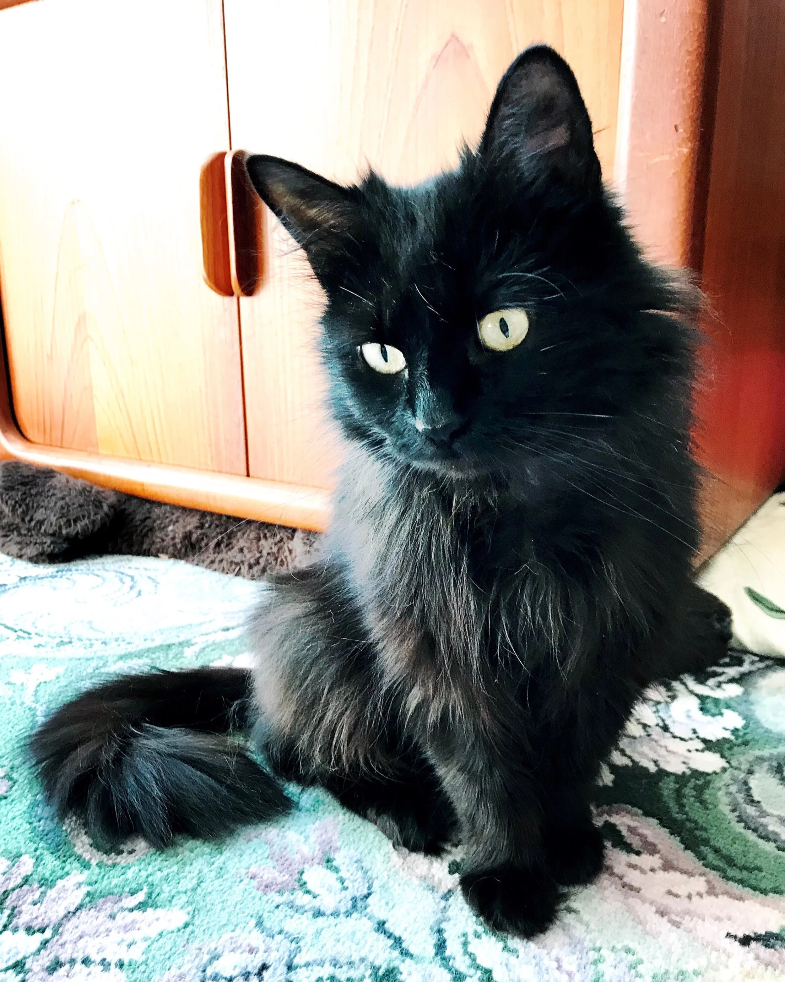 The 24th & 25th; Actually watched the football?