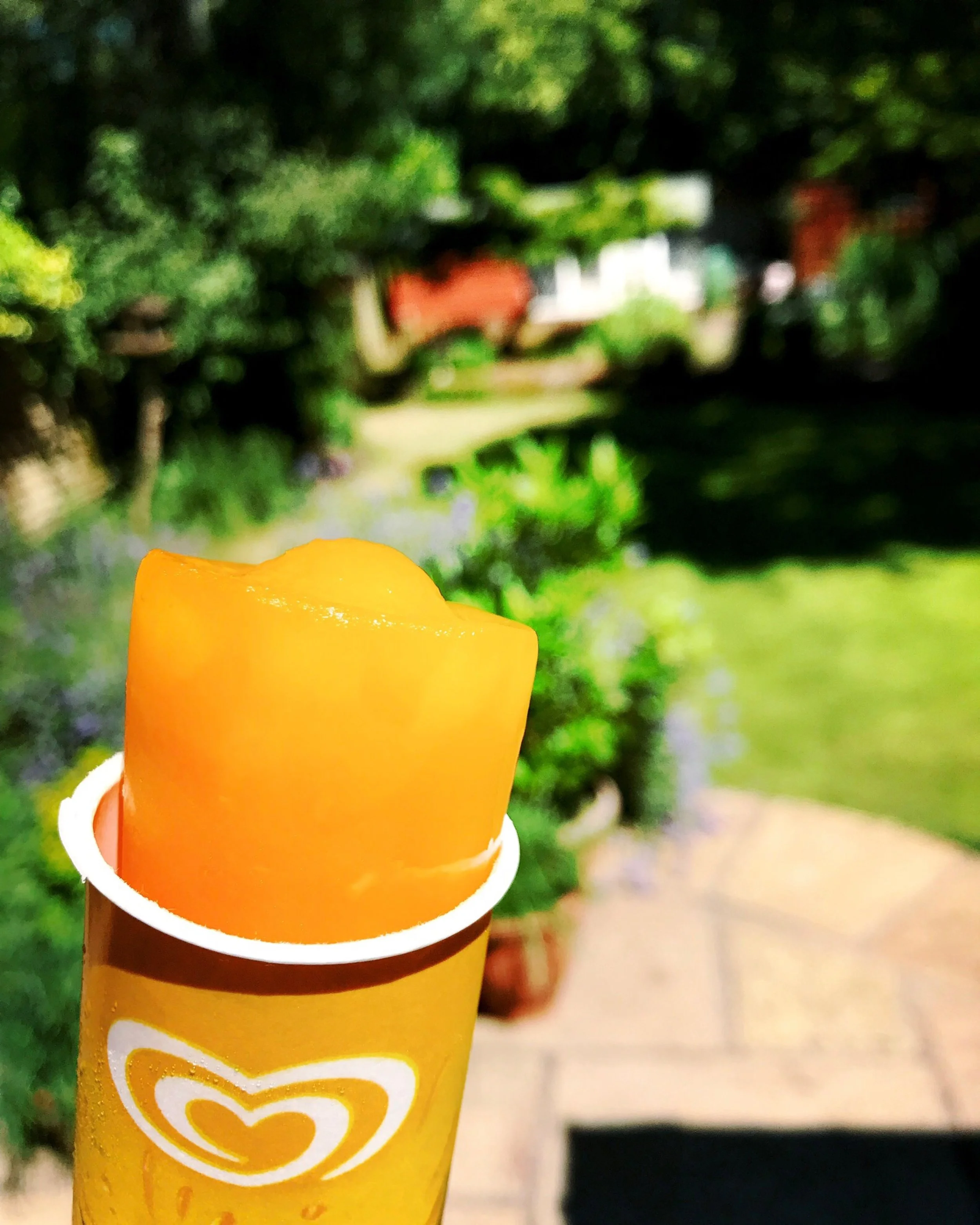 The 26th & 27th; Too hot for existing.