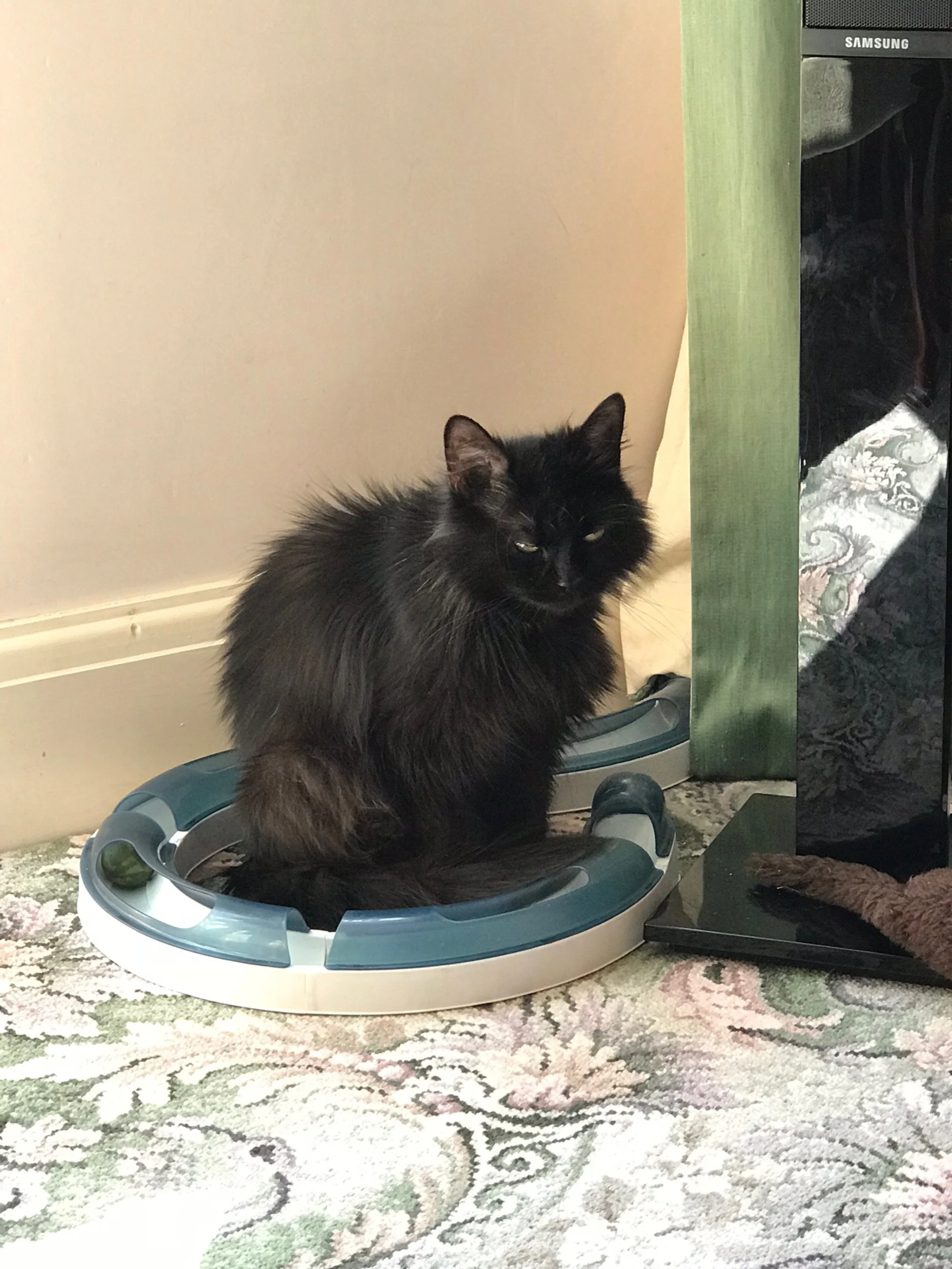 The 28th & 29th; A fat lot of nothing.