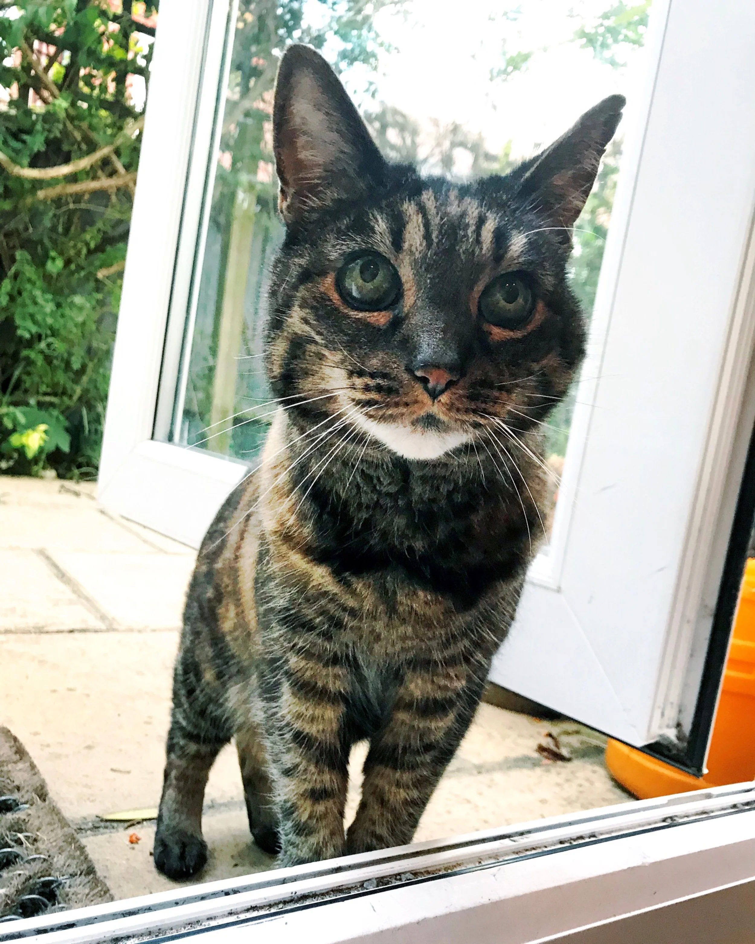 The 4th & 5th; Another day, another book read.