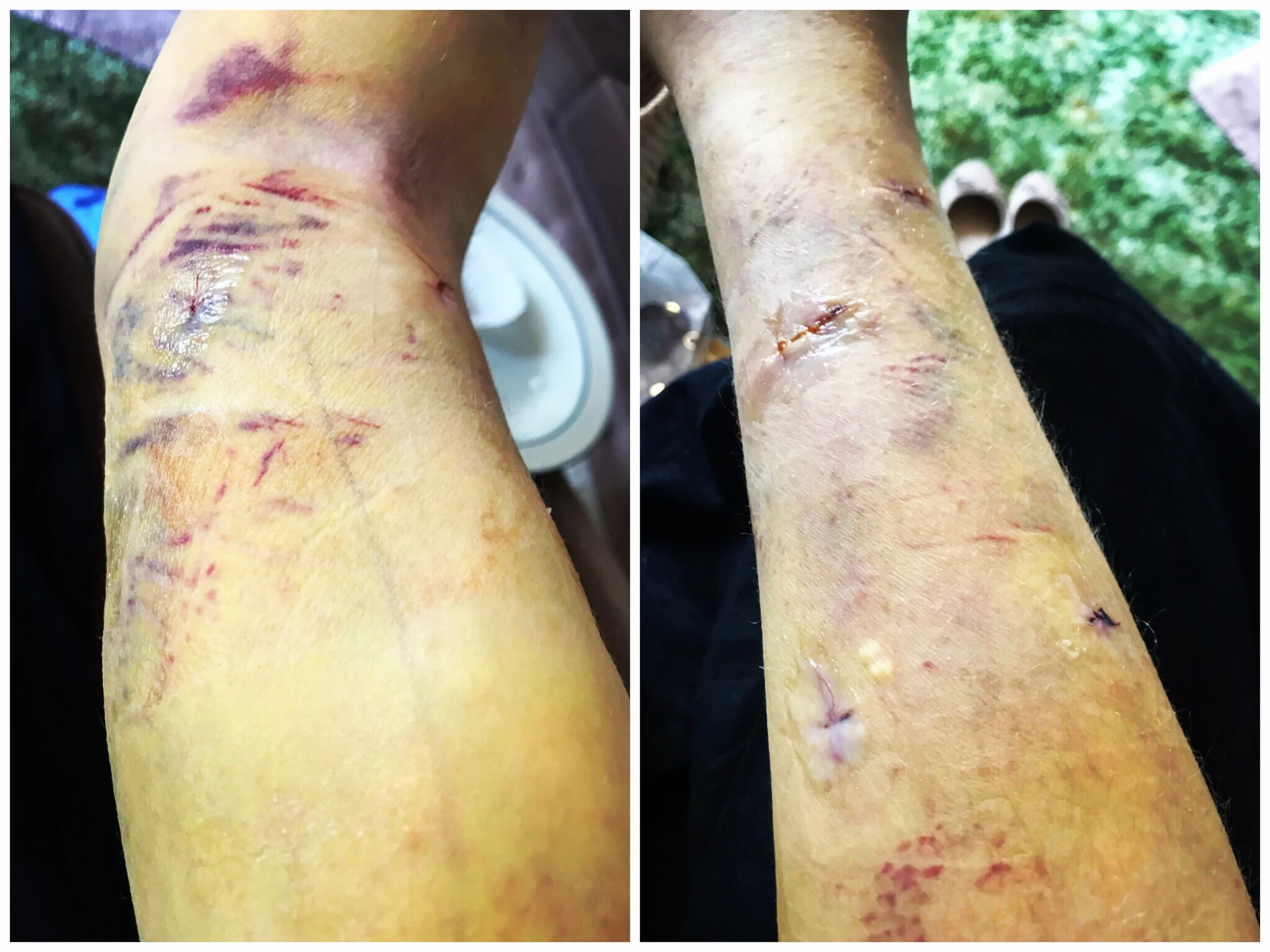 The 12th & 13th; She remained under the chair.