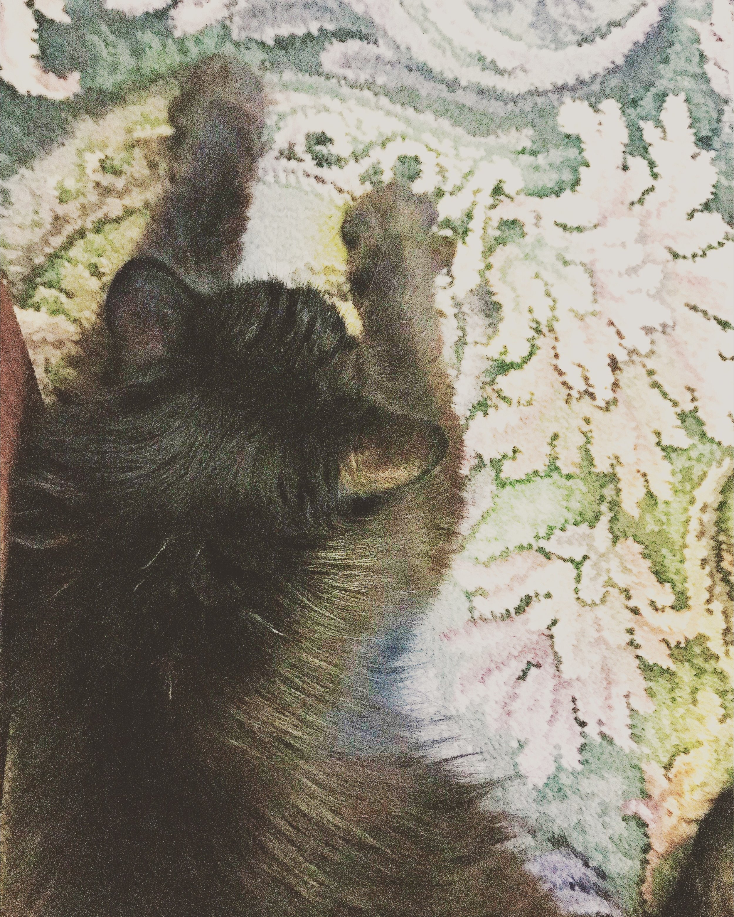 The 22nd & 23rd; They still want her!