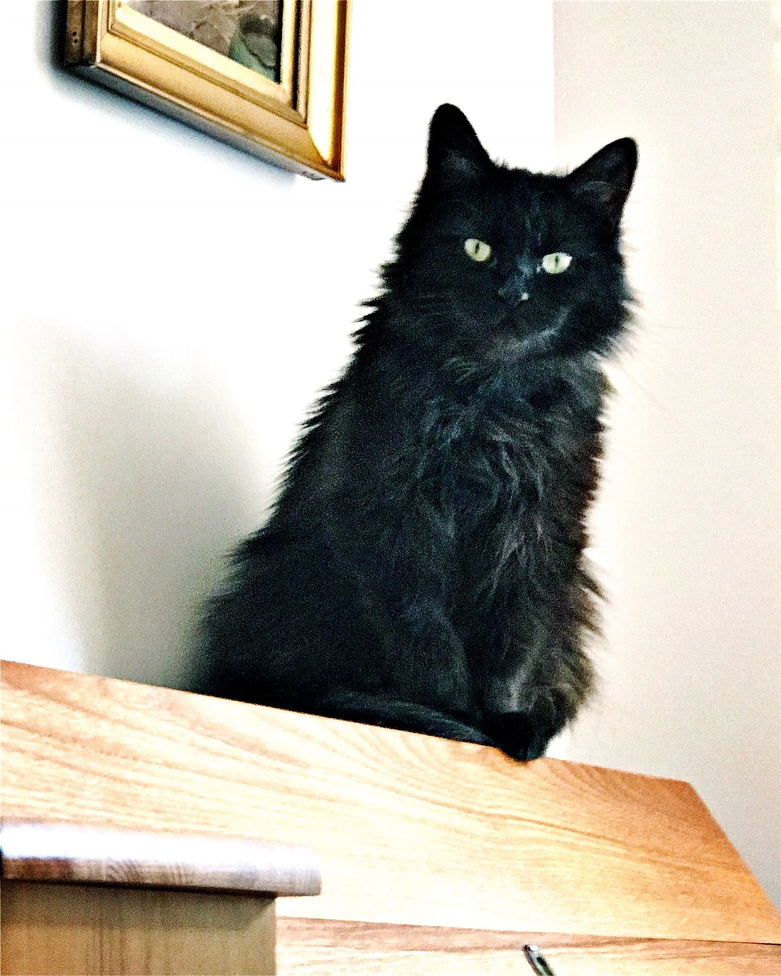 The 28th & 29th; Welcome back ye classic British summer.