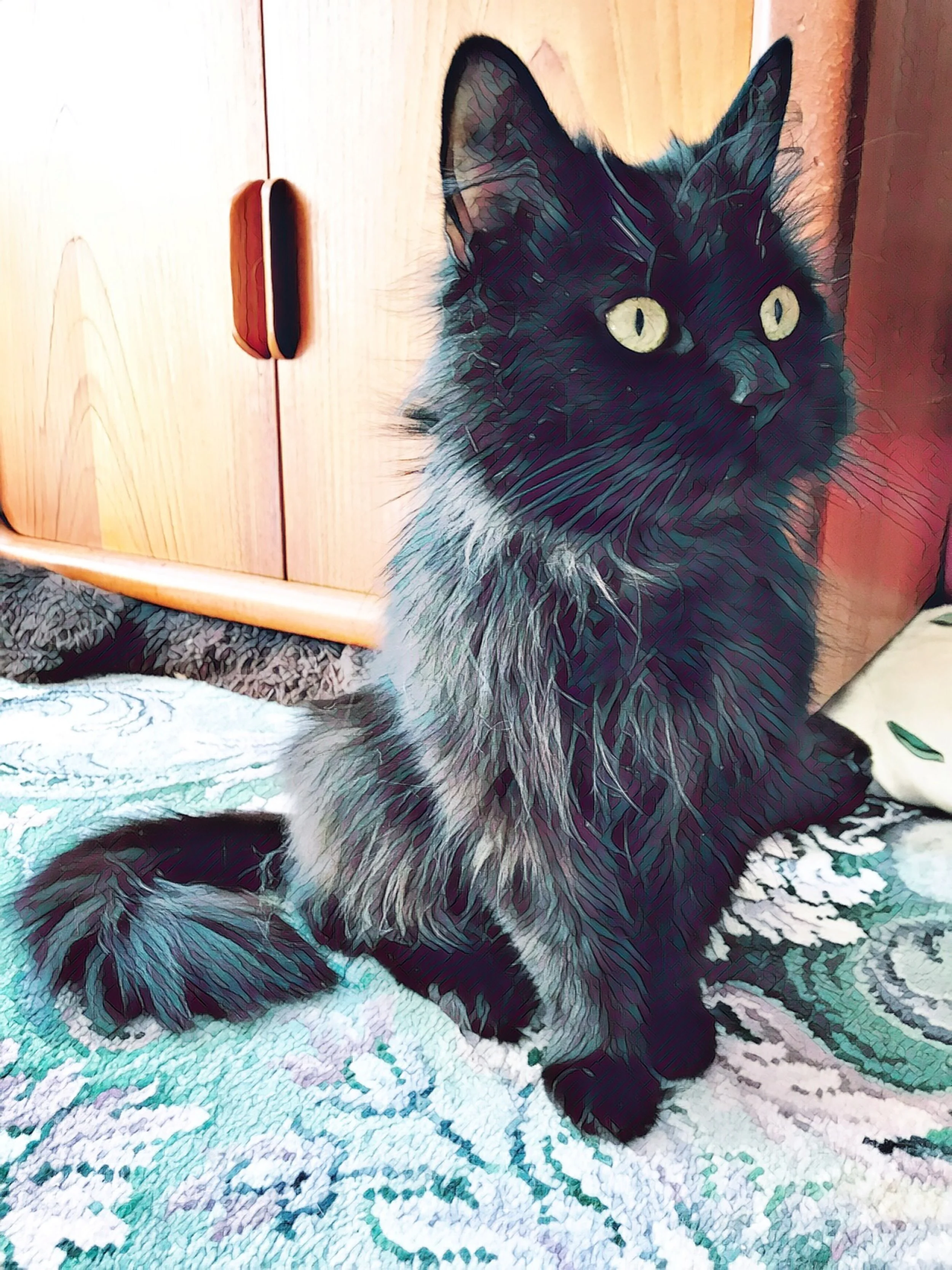 The 9th & 10th; No more summer.