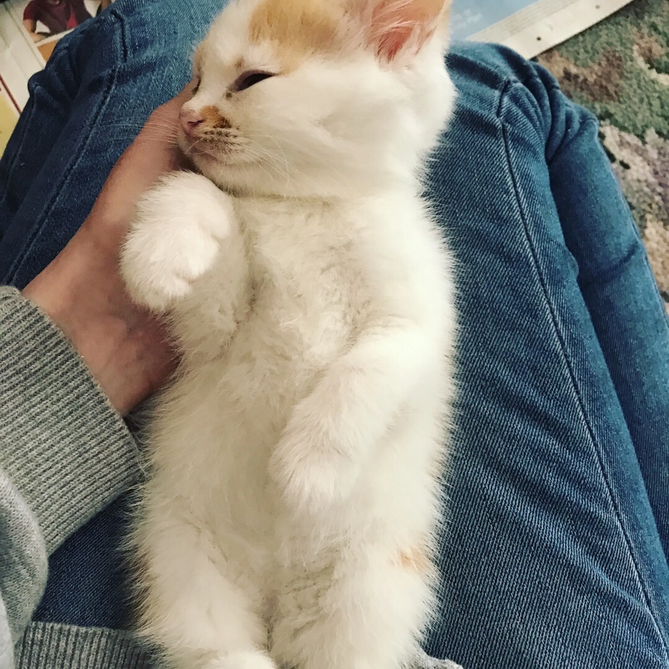 The 19th & 20th; So small.