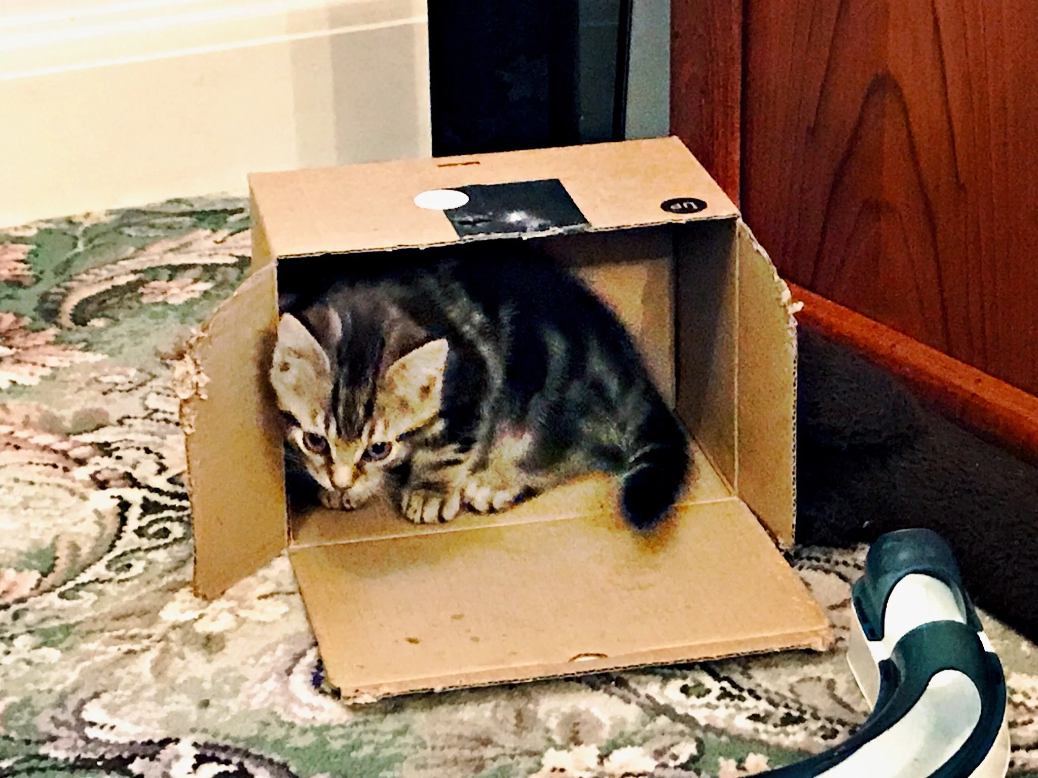 The 4th & 5th; He will be loved forever.