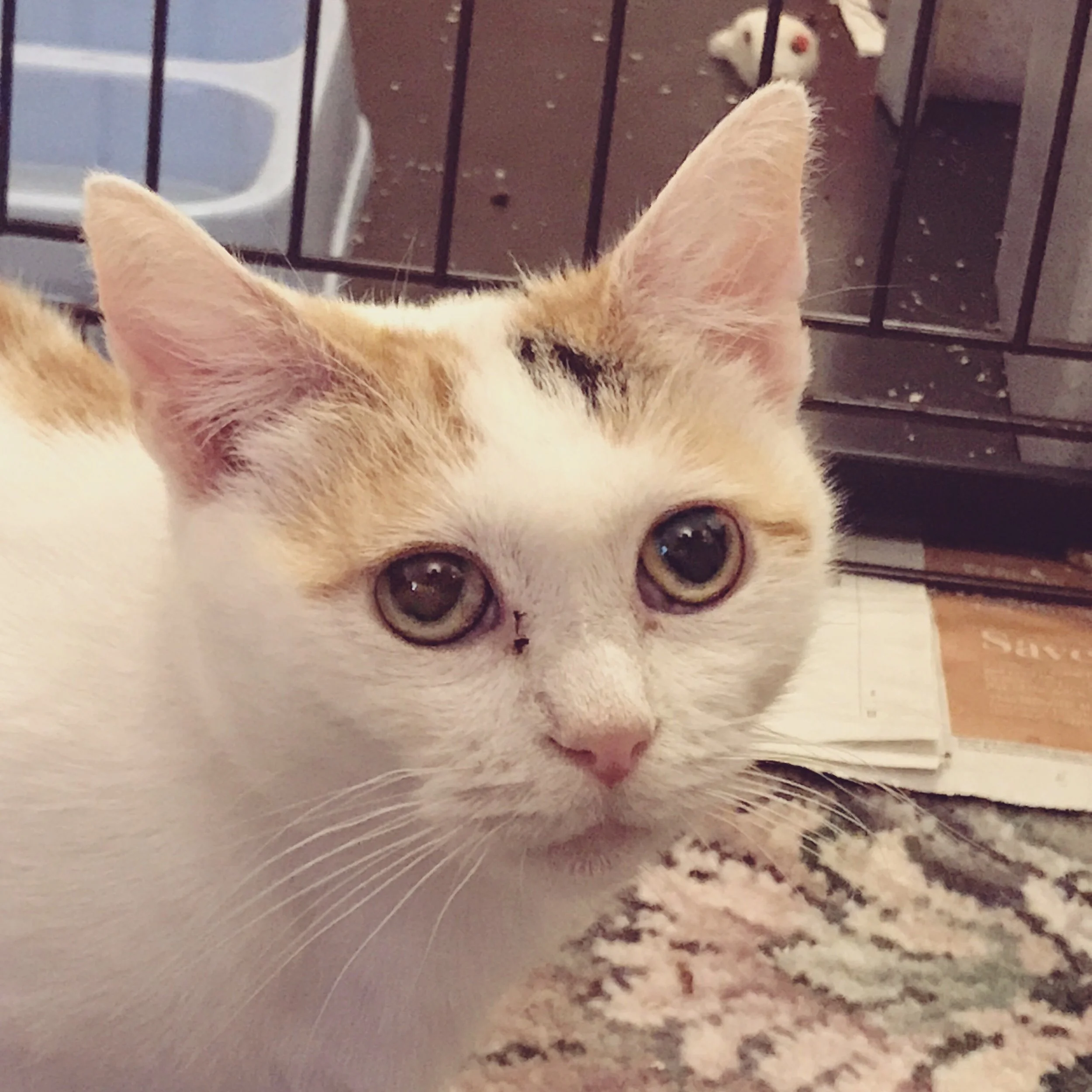 The 6th & 7th; She still hates me.