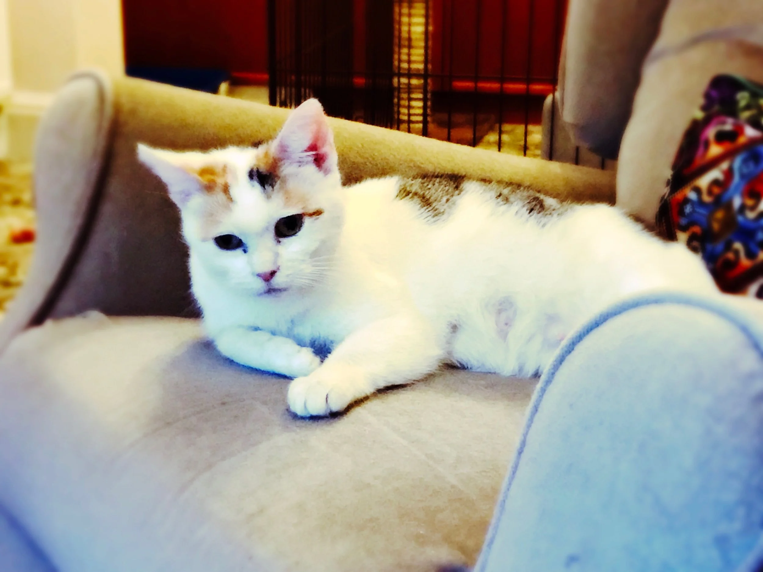 The 10th & 11th; No wonder I was in pain.