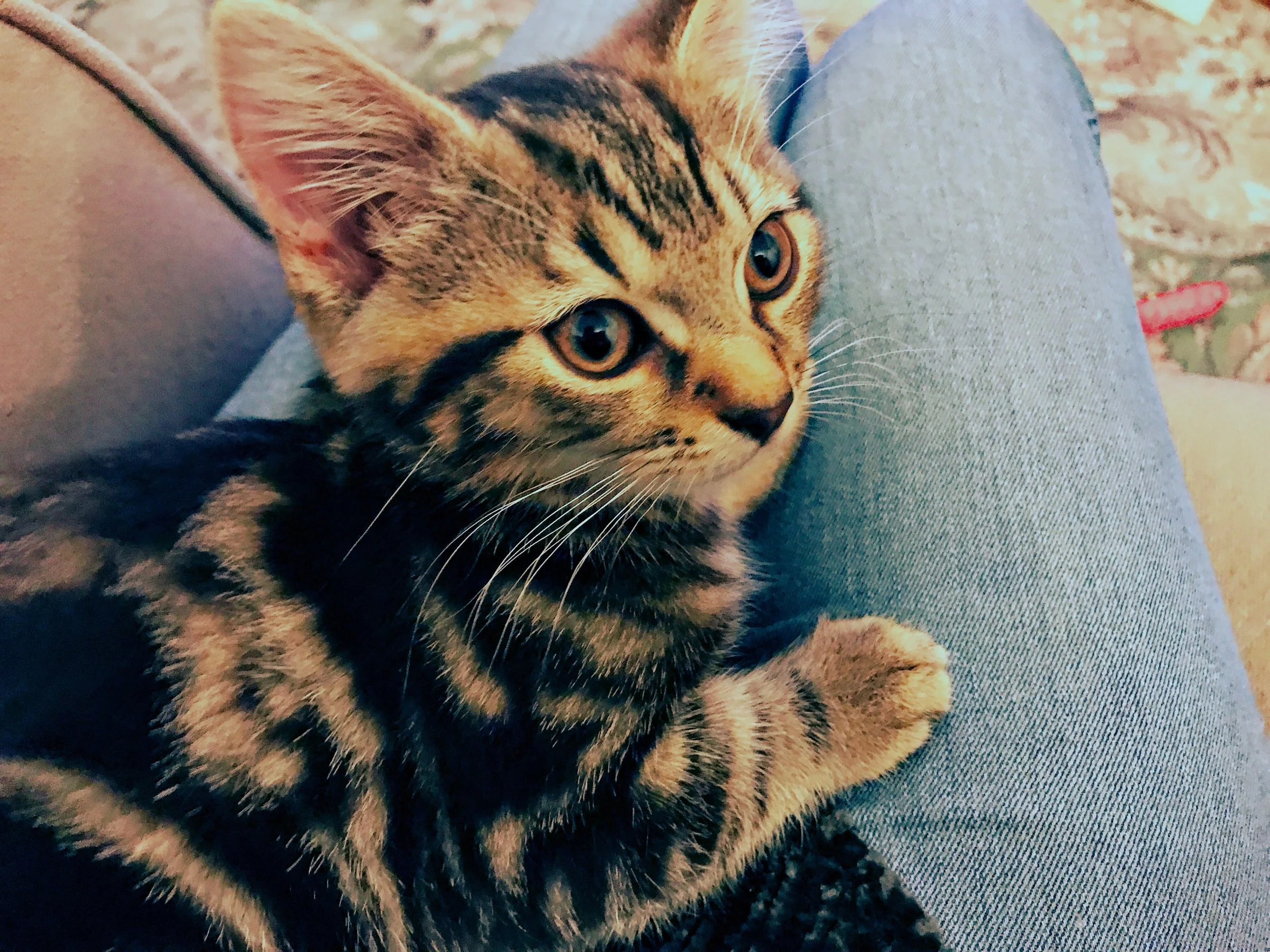 The 14th & 15th; Nothing horrific in there.