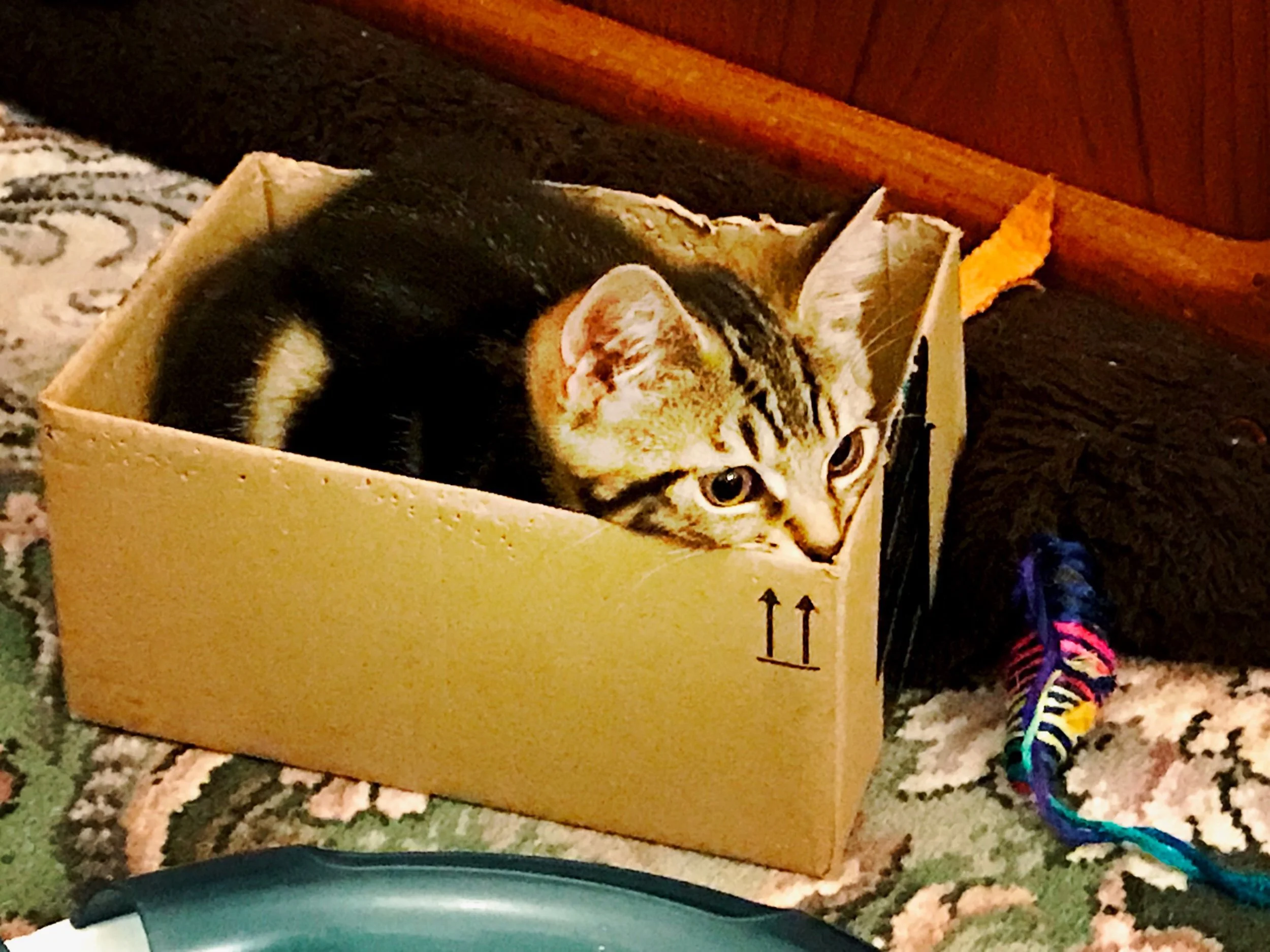 The 2nd & 3rd; It is just relentless.