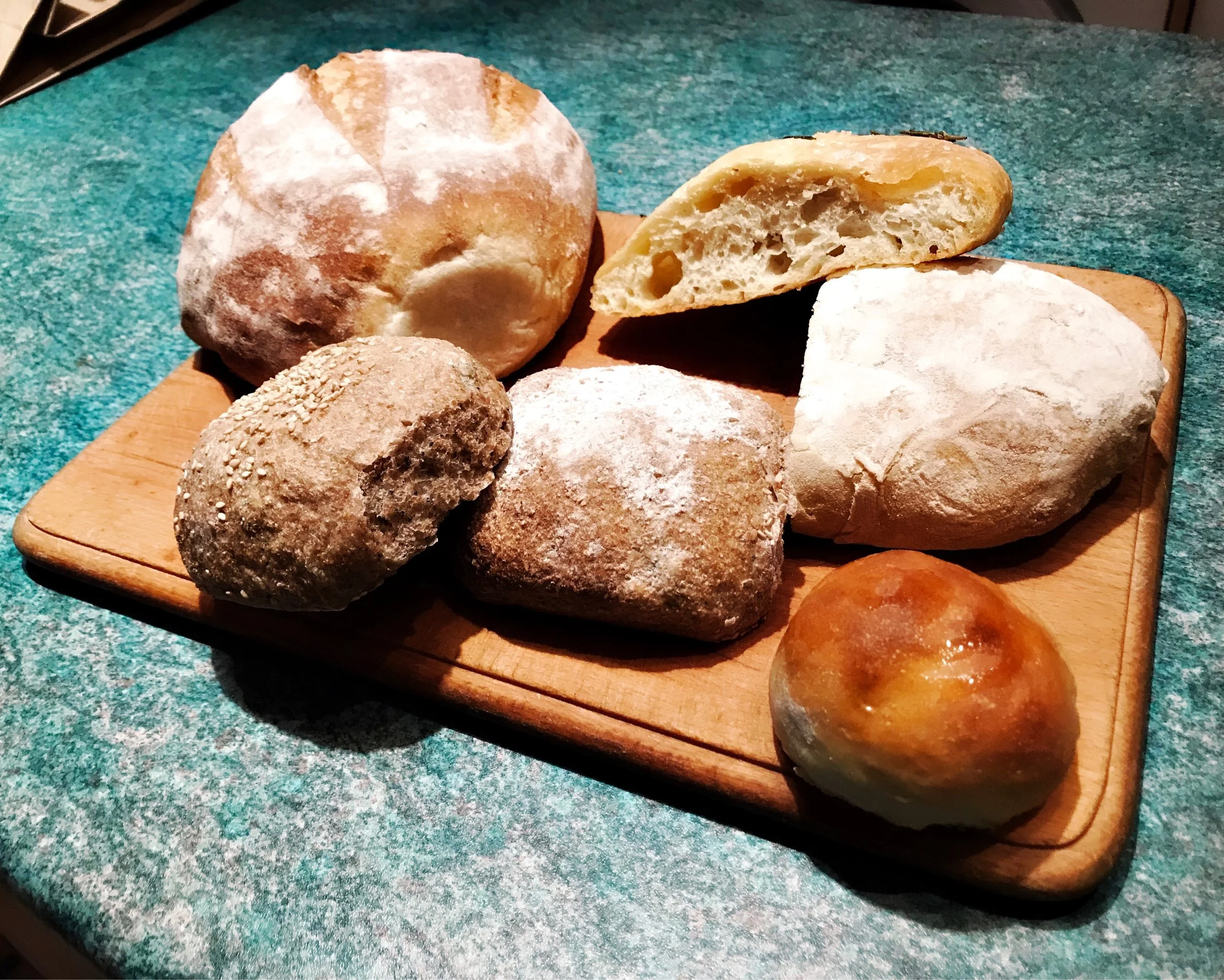 The 20th & 21st; I meowed at a lion.