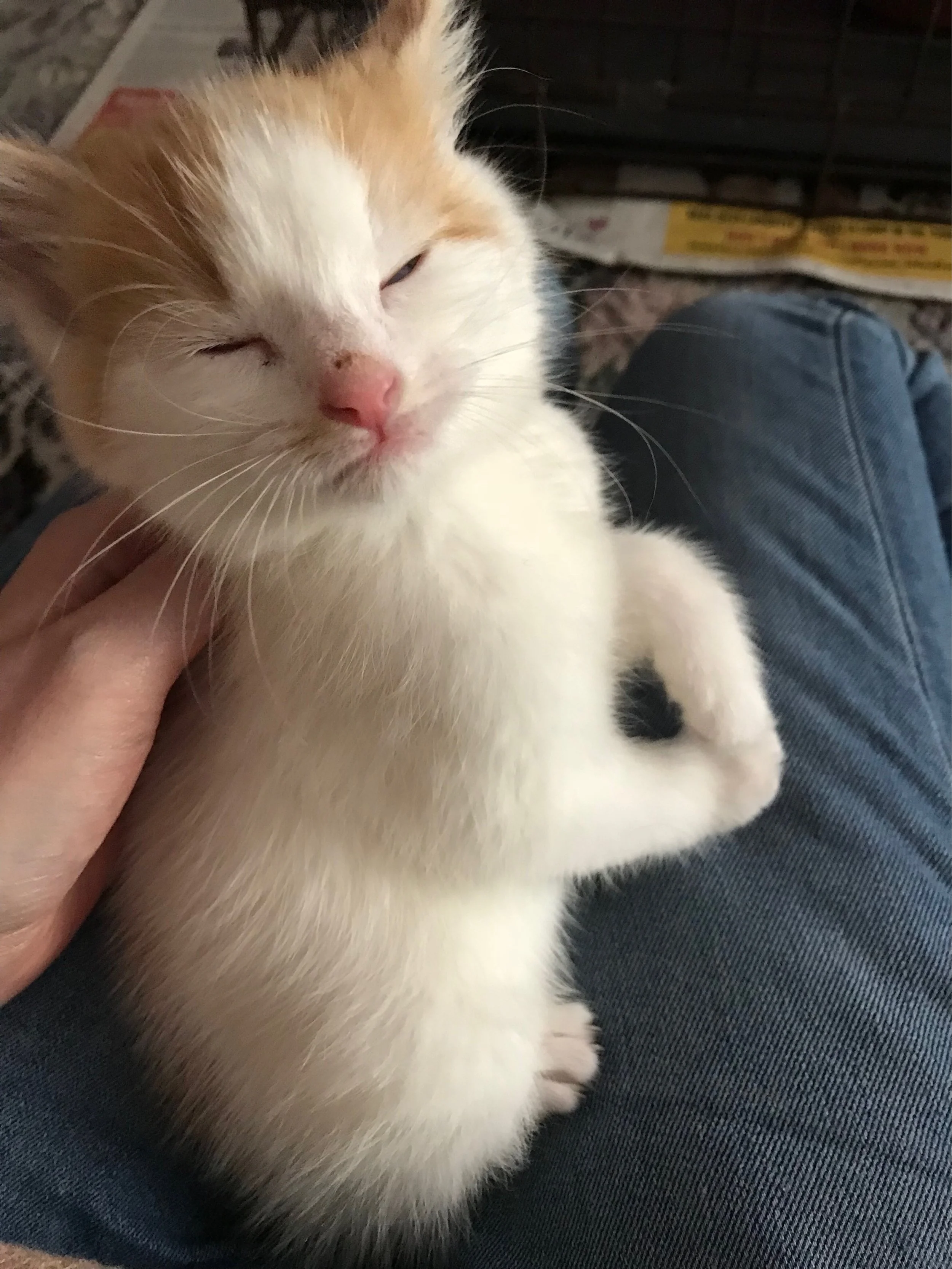 The 30th & 31st; I sound ancient.