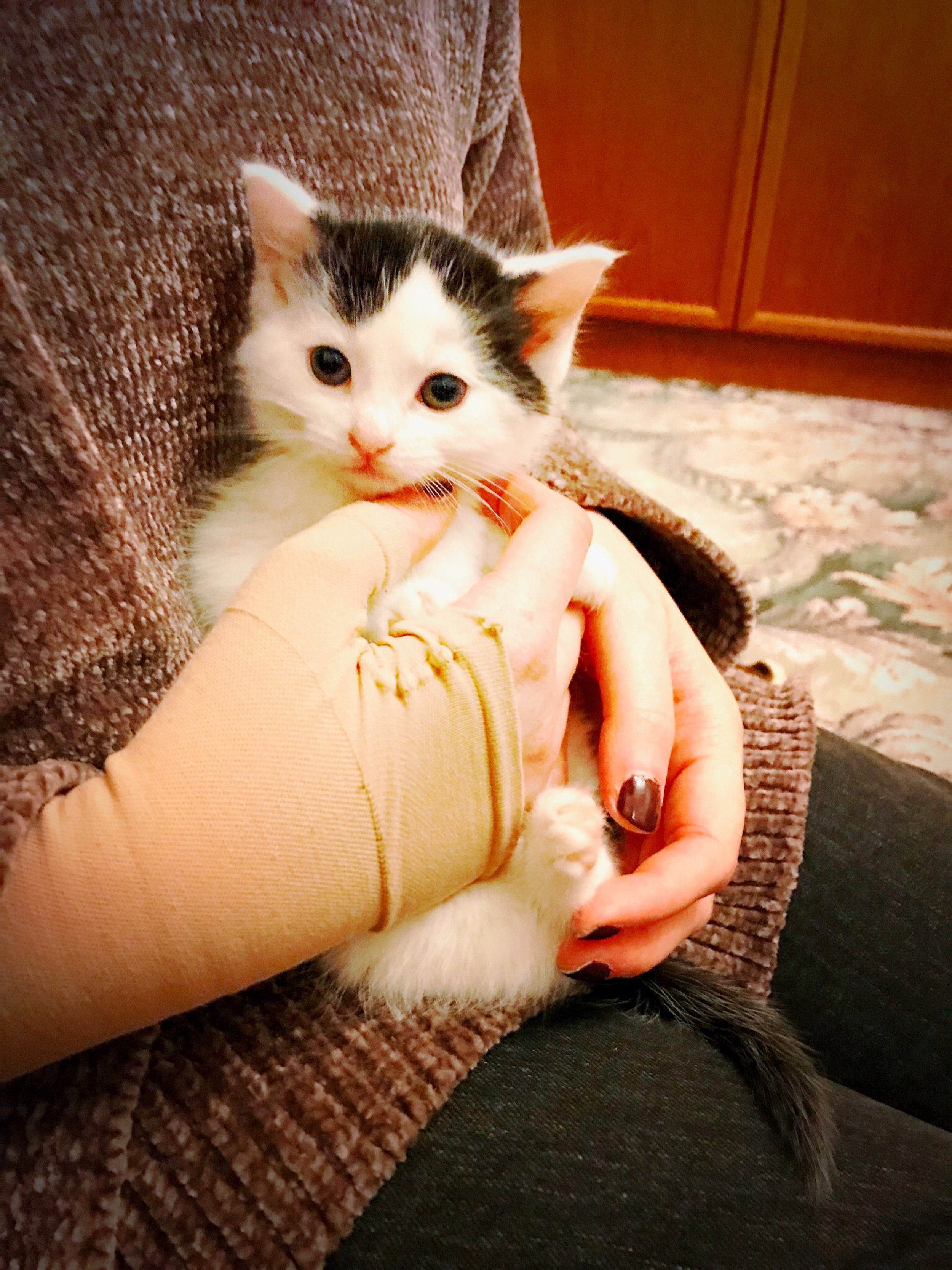 The 1st & 2nd; I hate all this waiting.