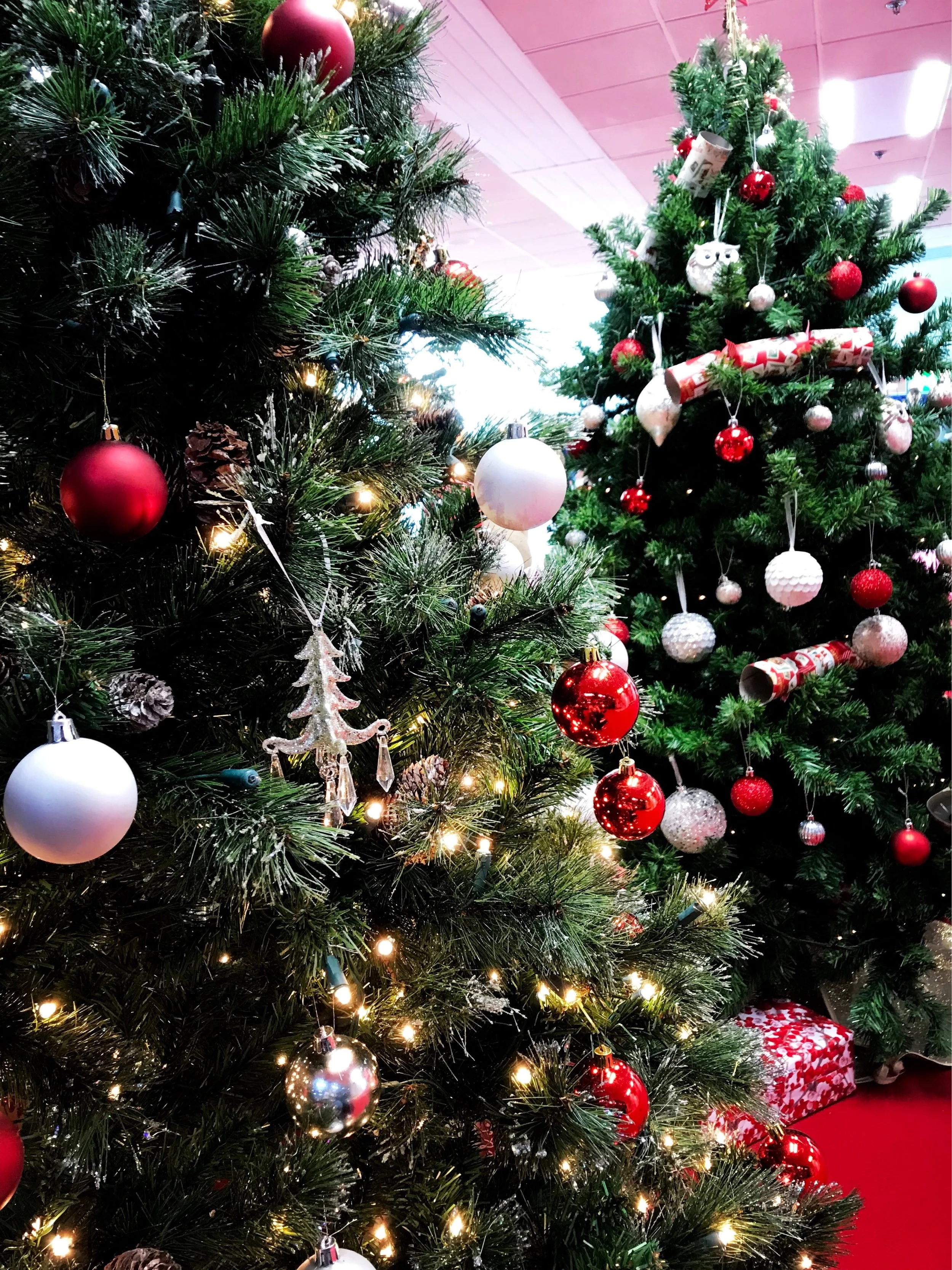 The 3rd & 4th; Christmas Crafts ahoy!