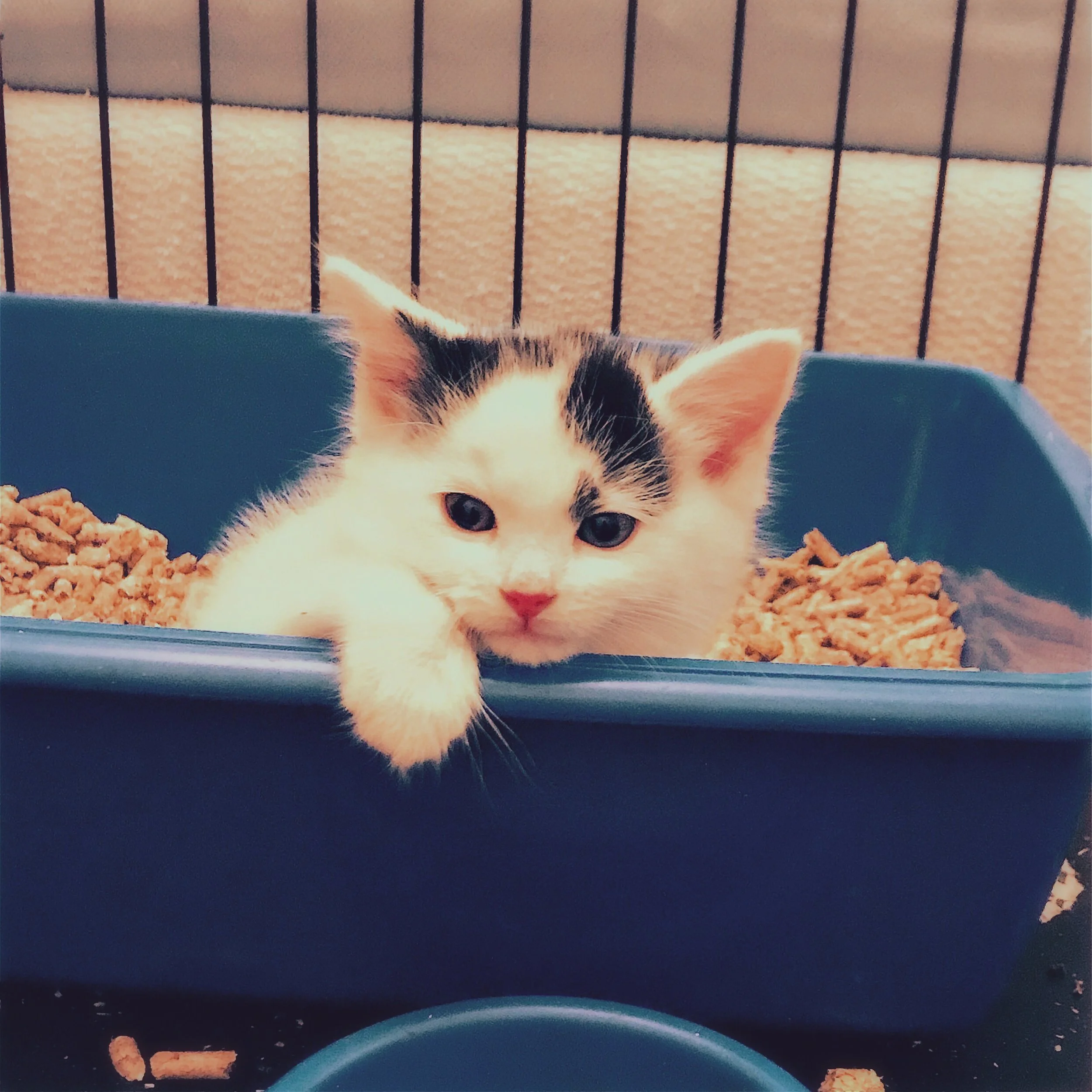 The 13th & 14th; Distraction from life garbage.