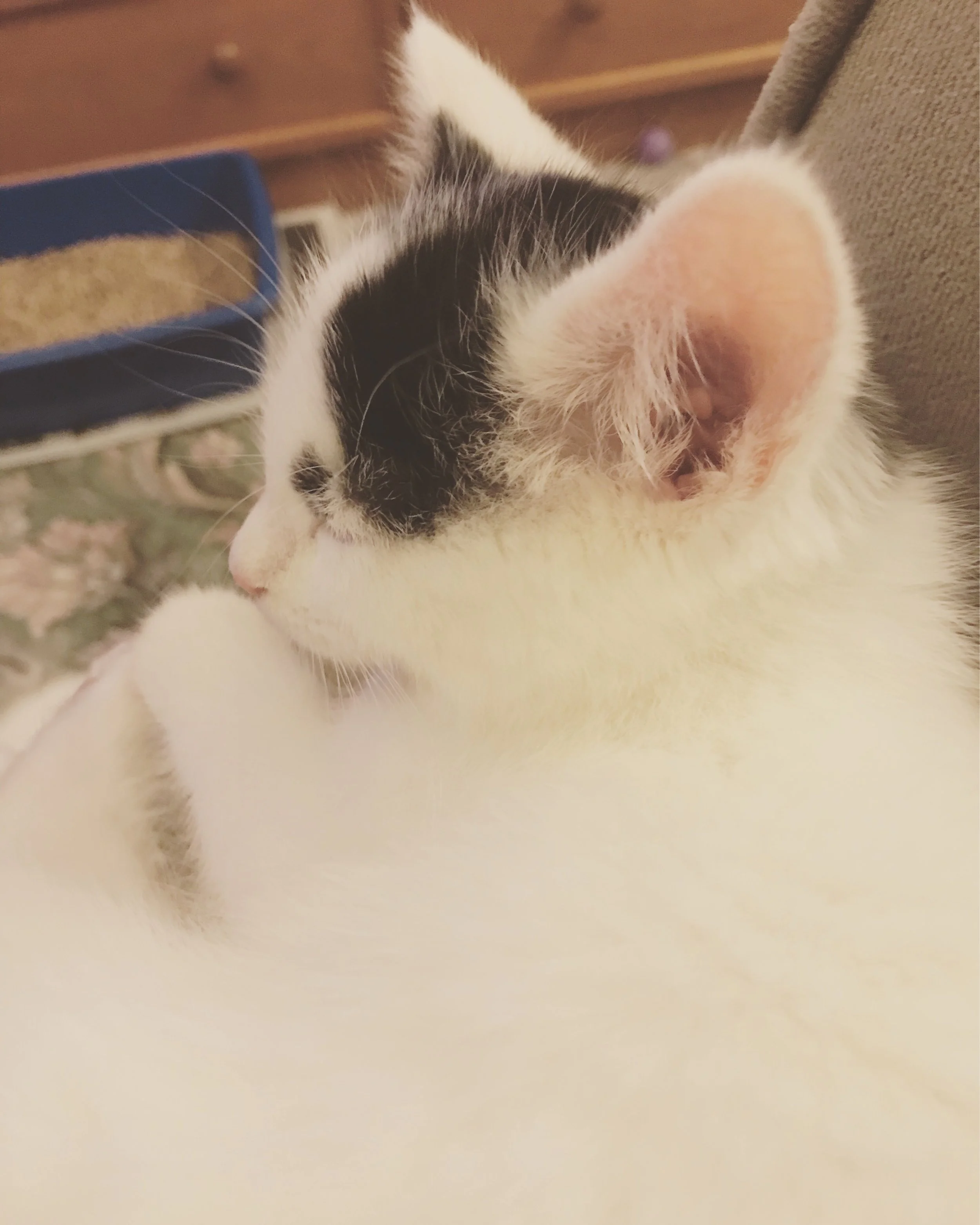 The 17th & 18th; Unable to find a position that is comfortable.