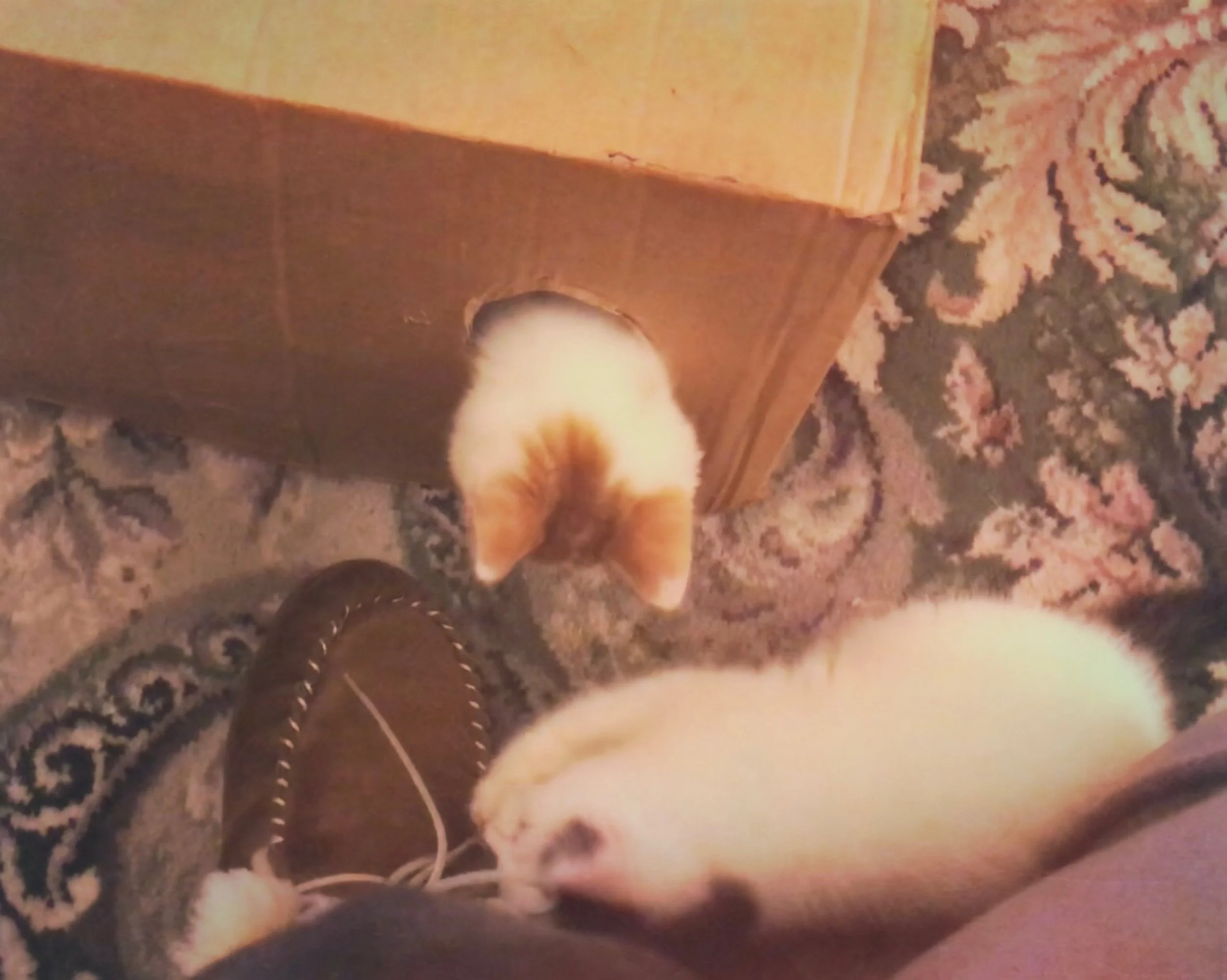 The 21st & 22nd; I knew it was bad, but not that bad.