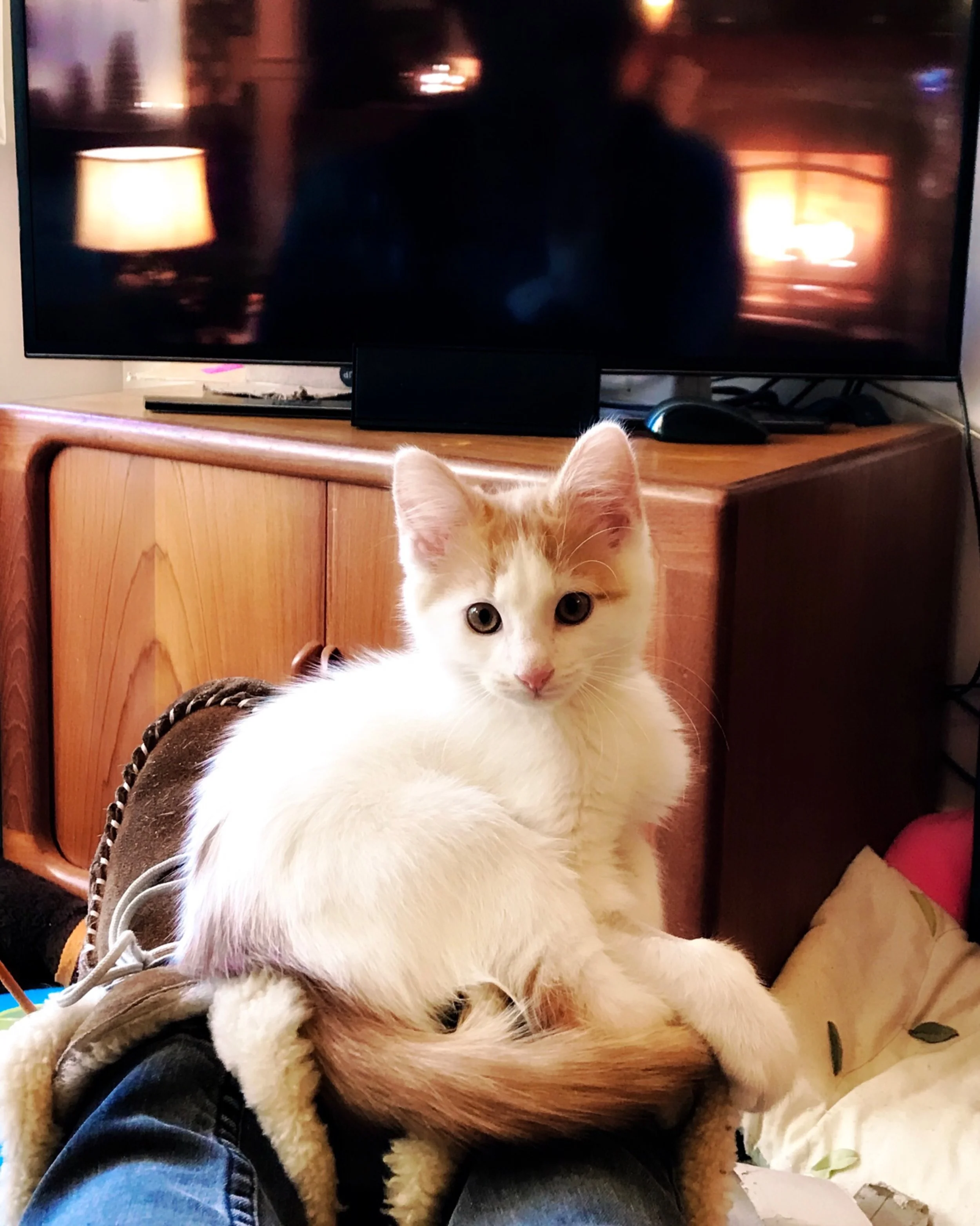 The 13th & 14th; Finally he wants to be friends!